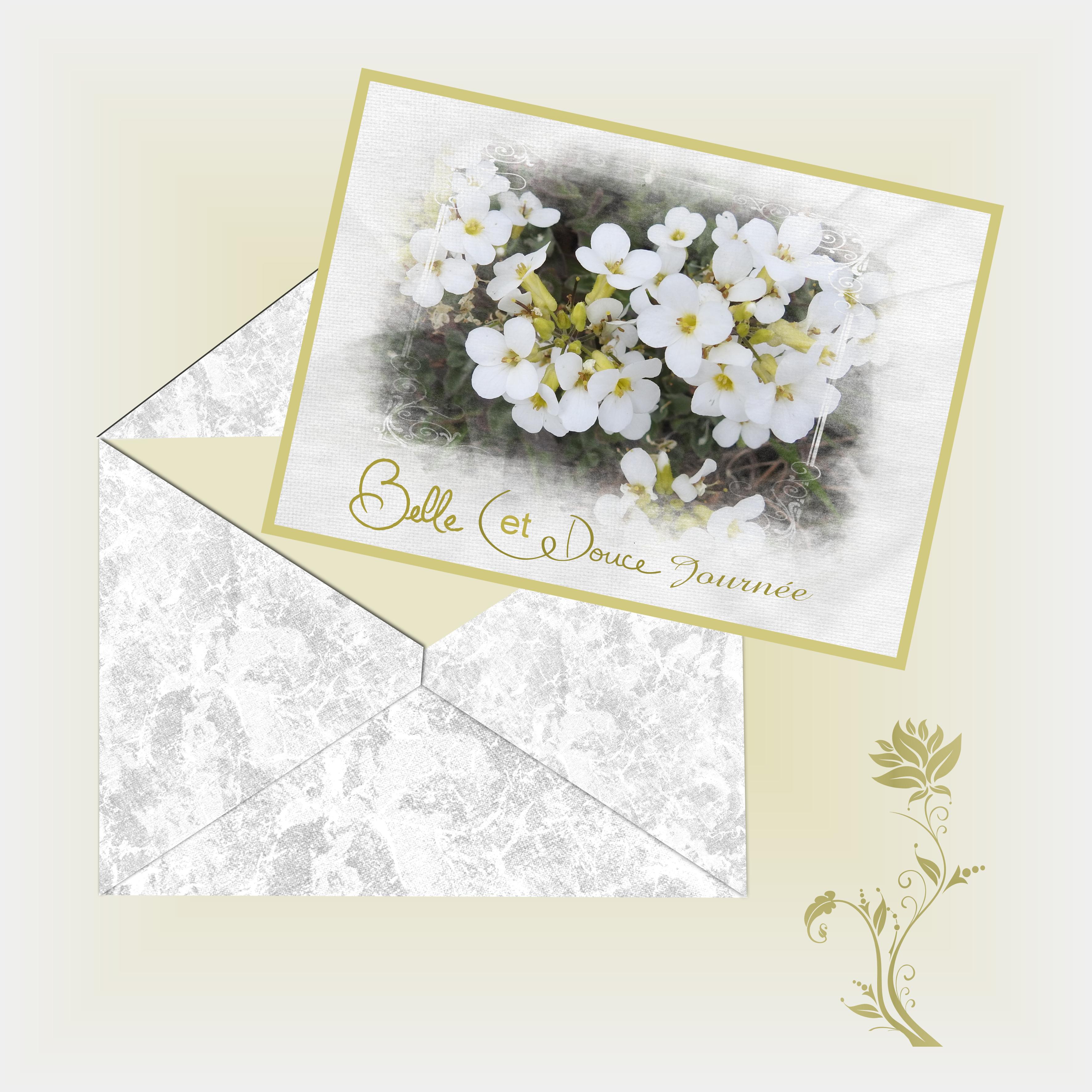 J-c79  - BELLE ET DOUCE JOURNEE.jpg