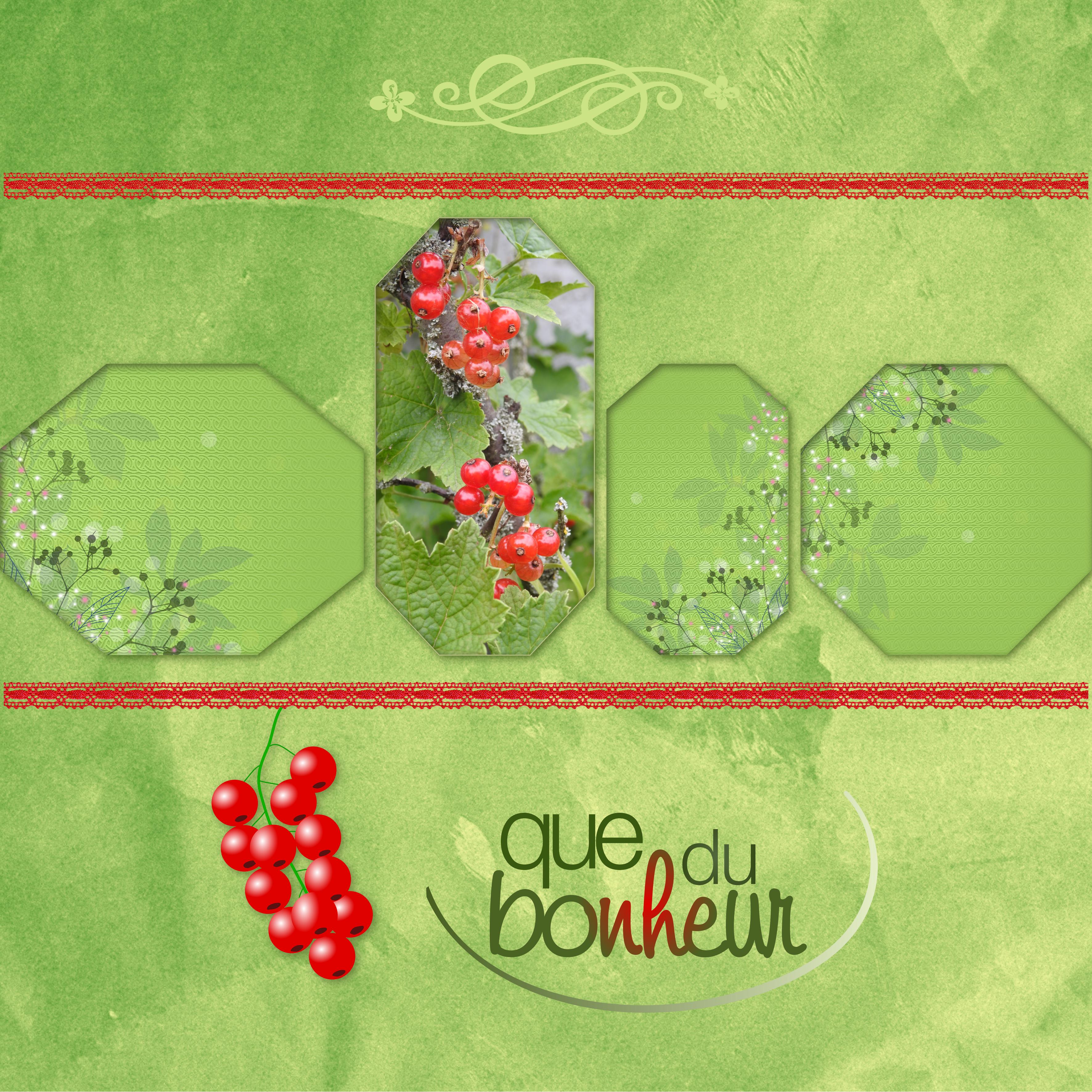 J-c85 - QUE DU BONHEUR.jpg