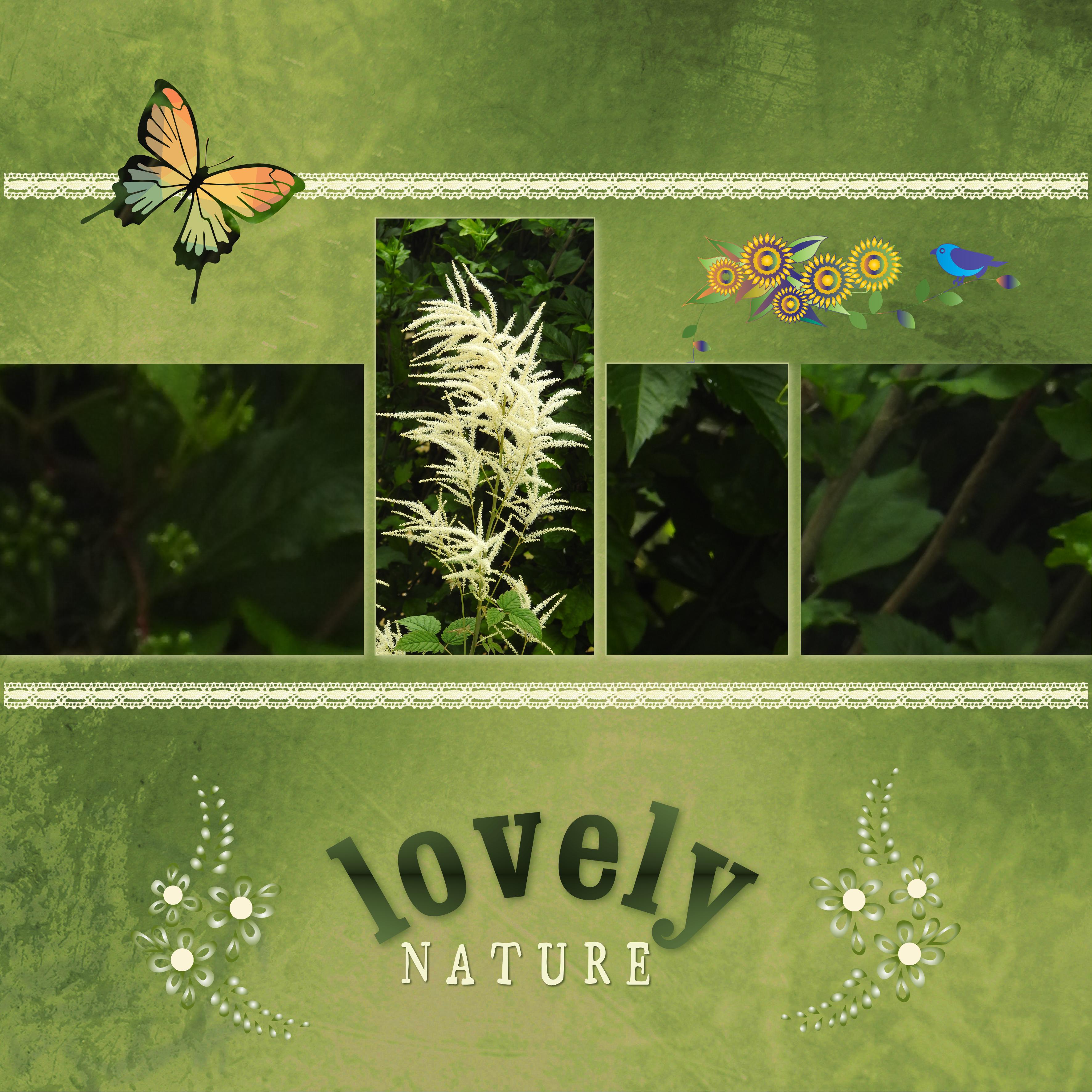 J-c86 - LOVELY NATURE.jpg