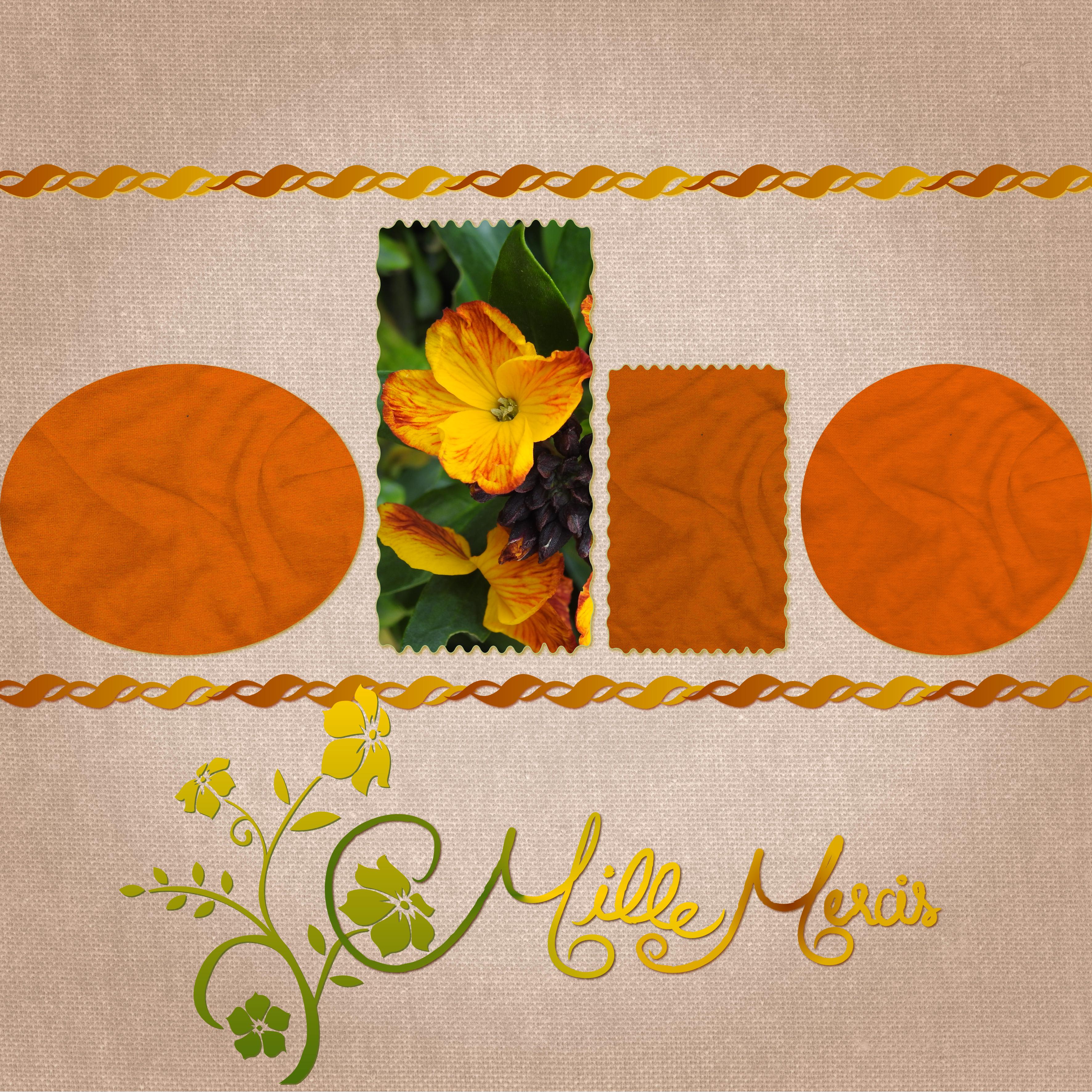 J-c89 - MILLE MERCIS.jpg