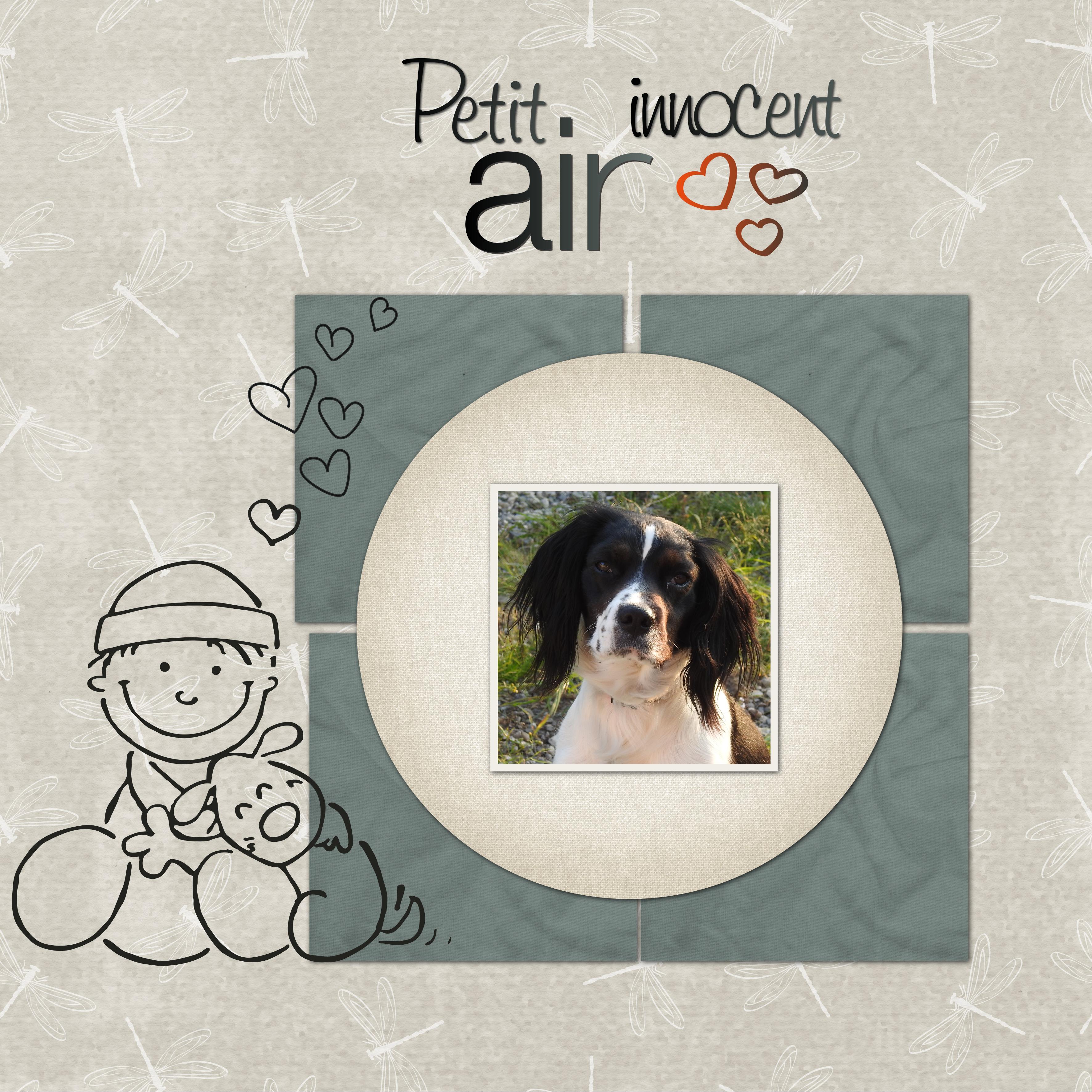 J-c94 - PETIT AIR INNOCENT.jpg