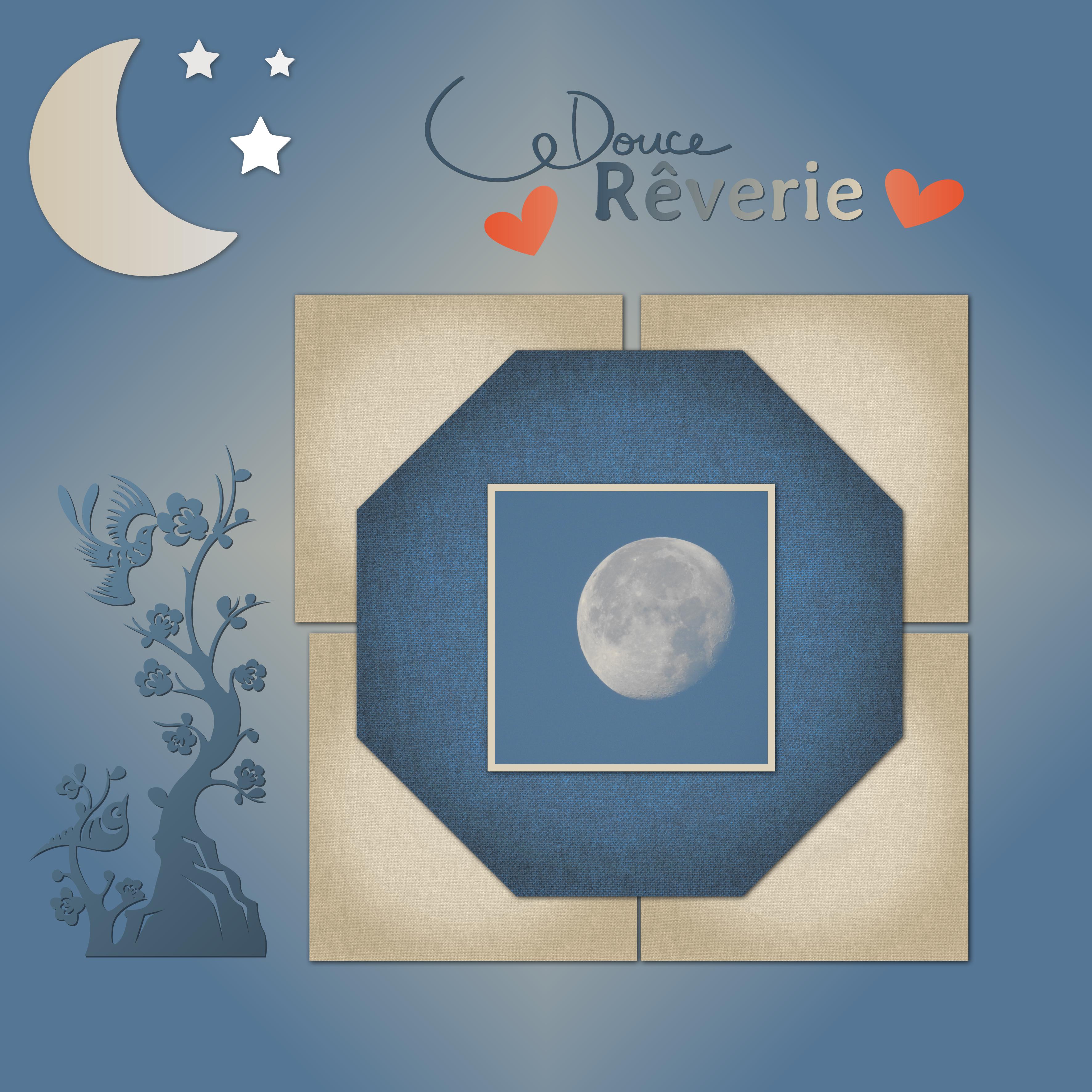 J-c95 - DOUCE REVERIE.jpg