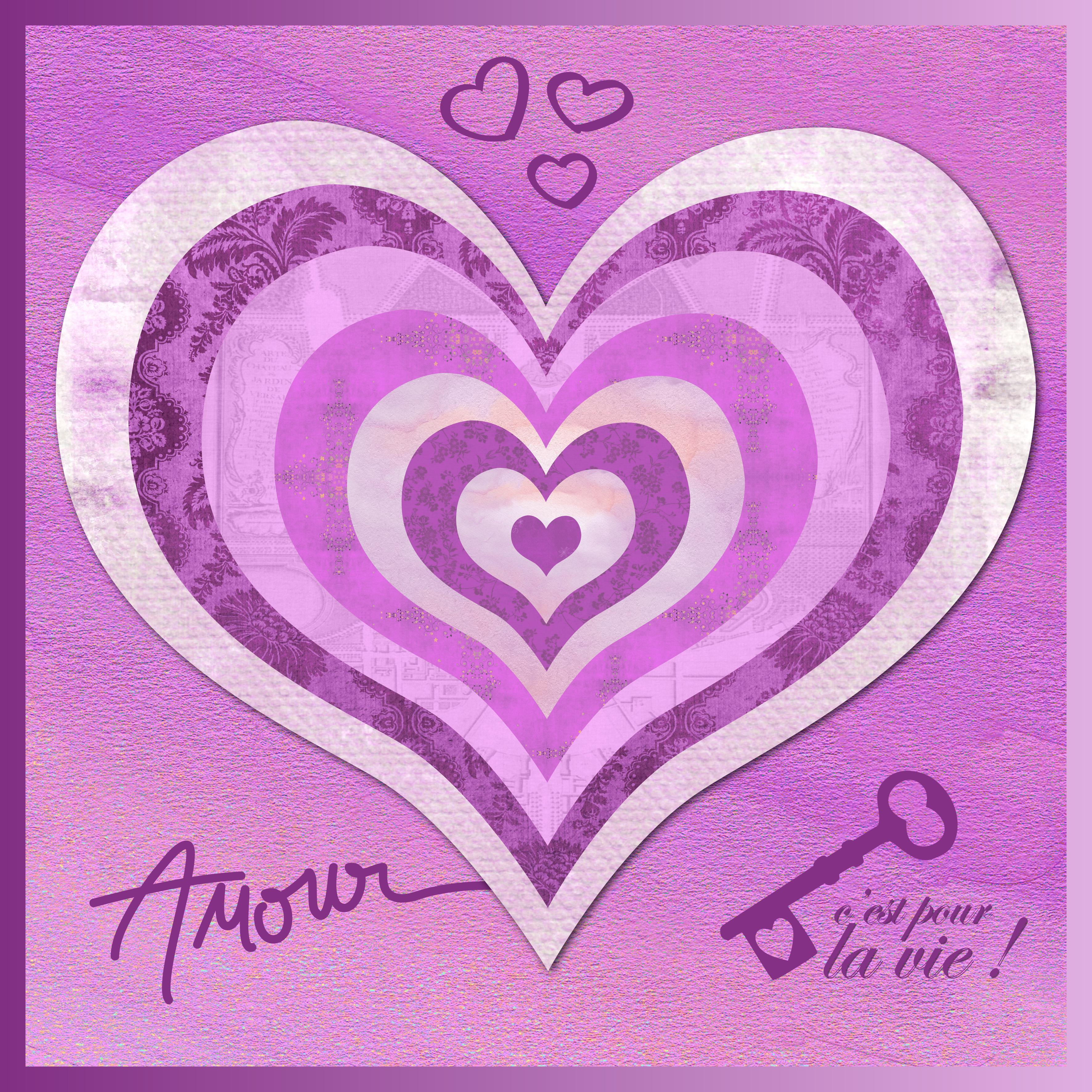 J - C'EST POUR LA VIE.jpg