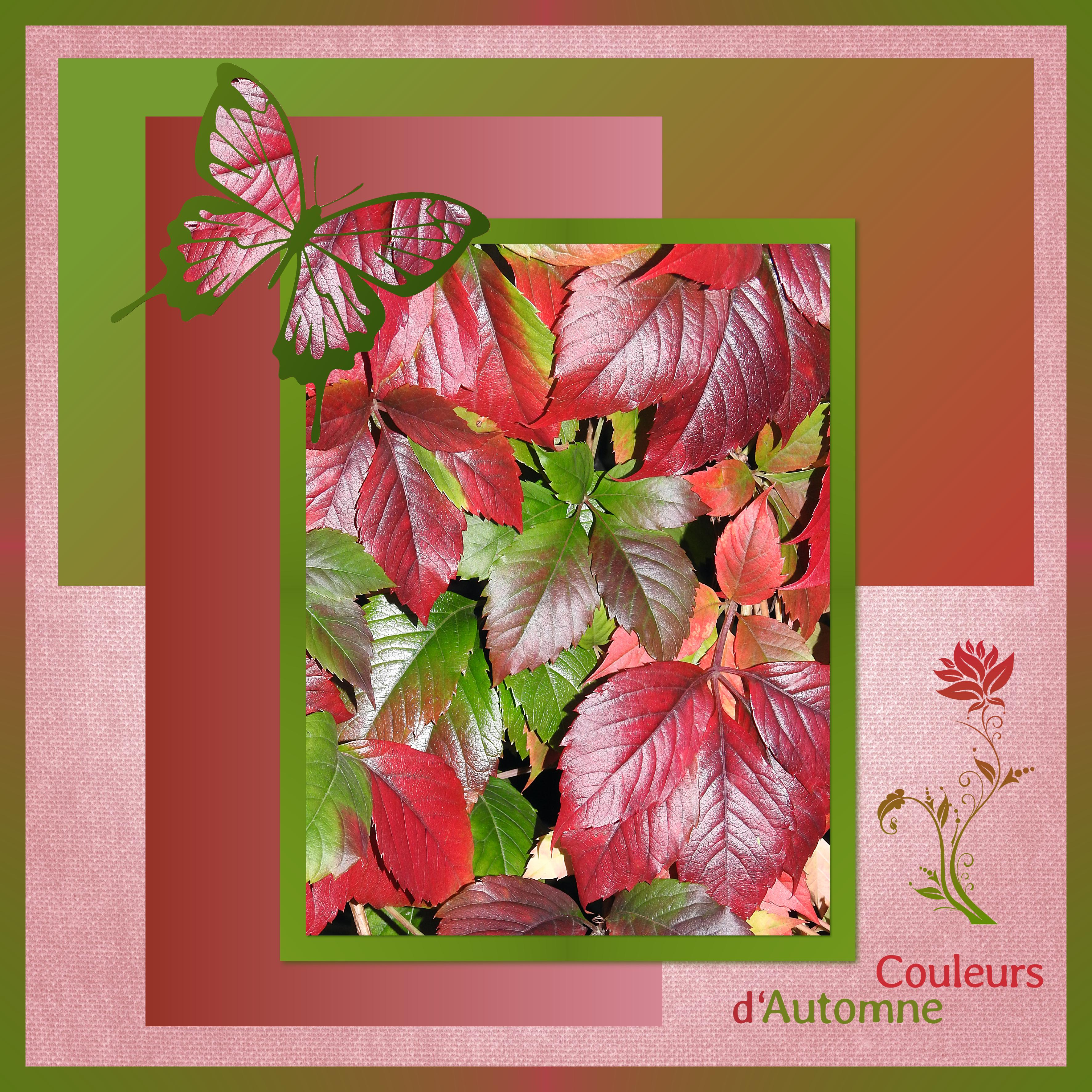 J - COULEURS D'AUTOMNE.jpg