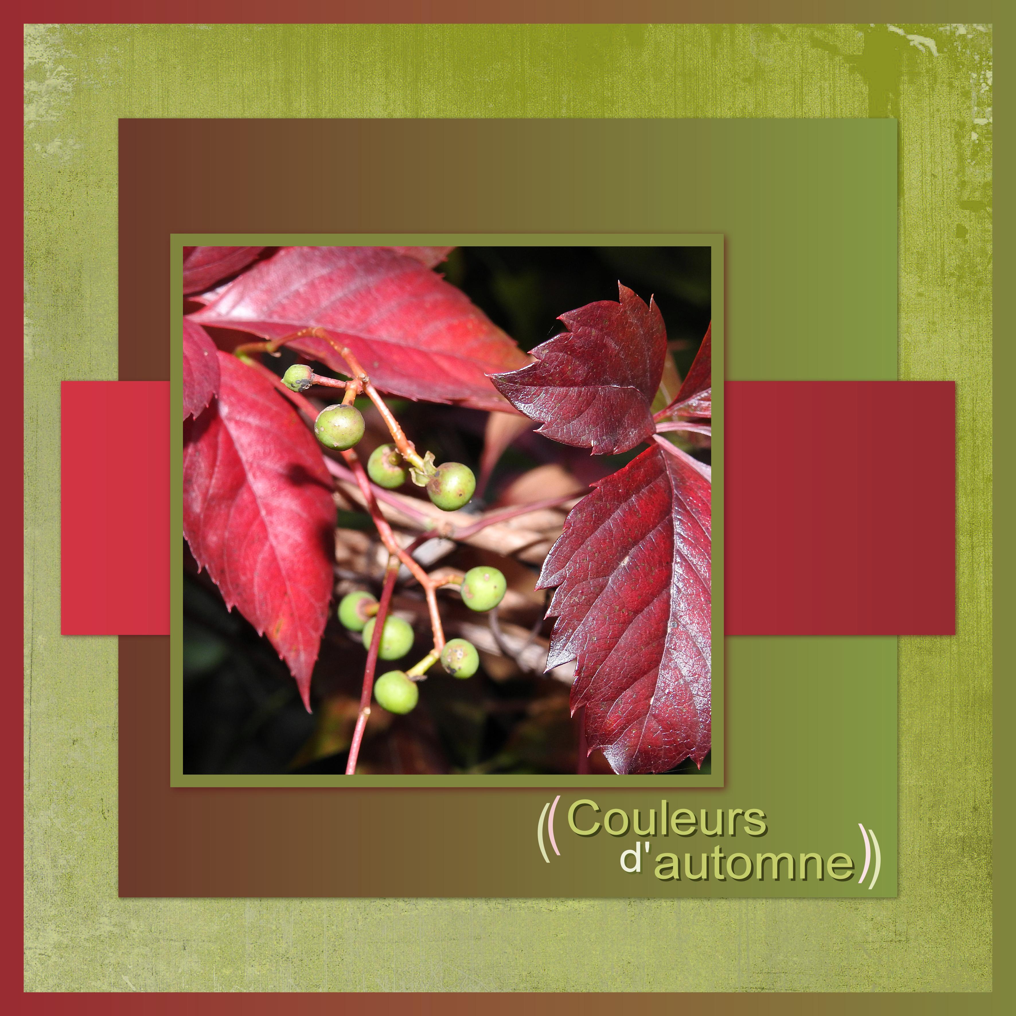 J - COULEURS D'AUTOMNE.jpg