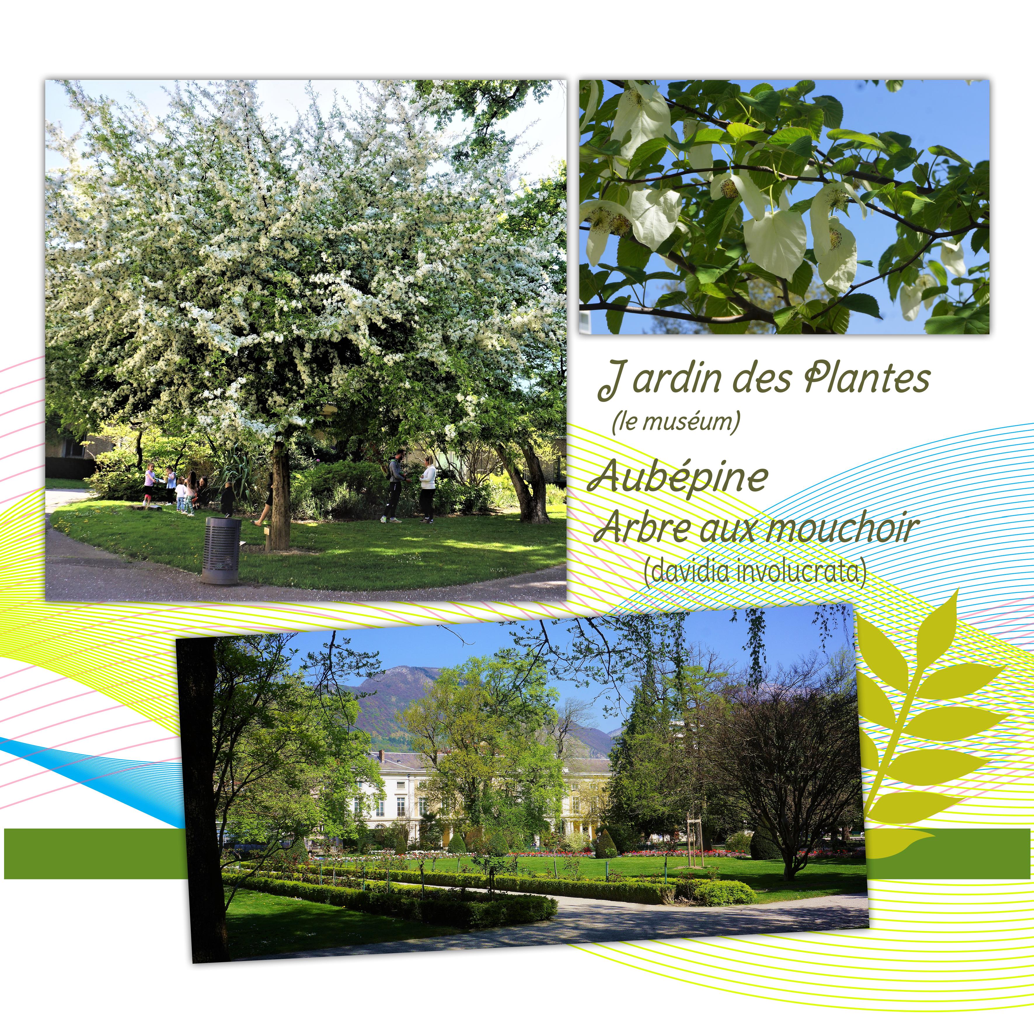 J d P  18 04 2022.jpg