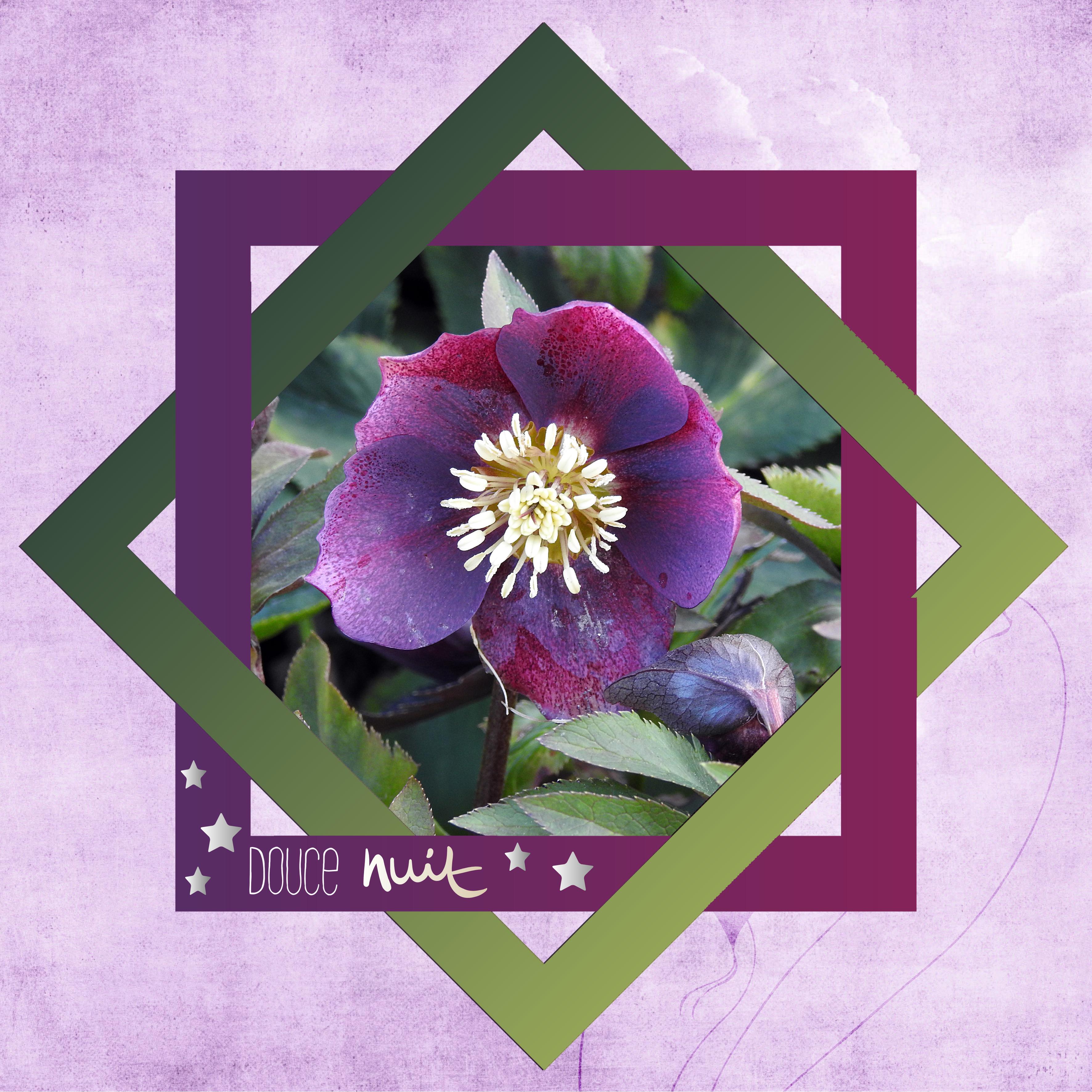 J - DOUCE NUIT.jpg