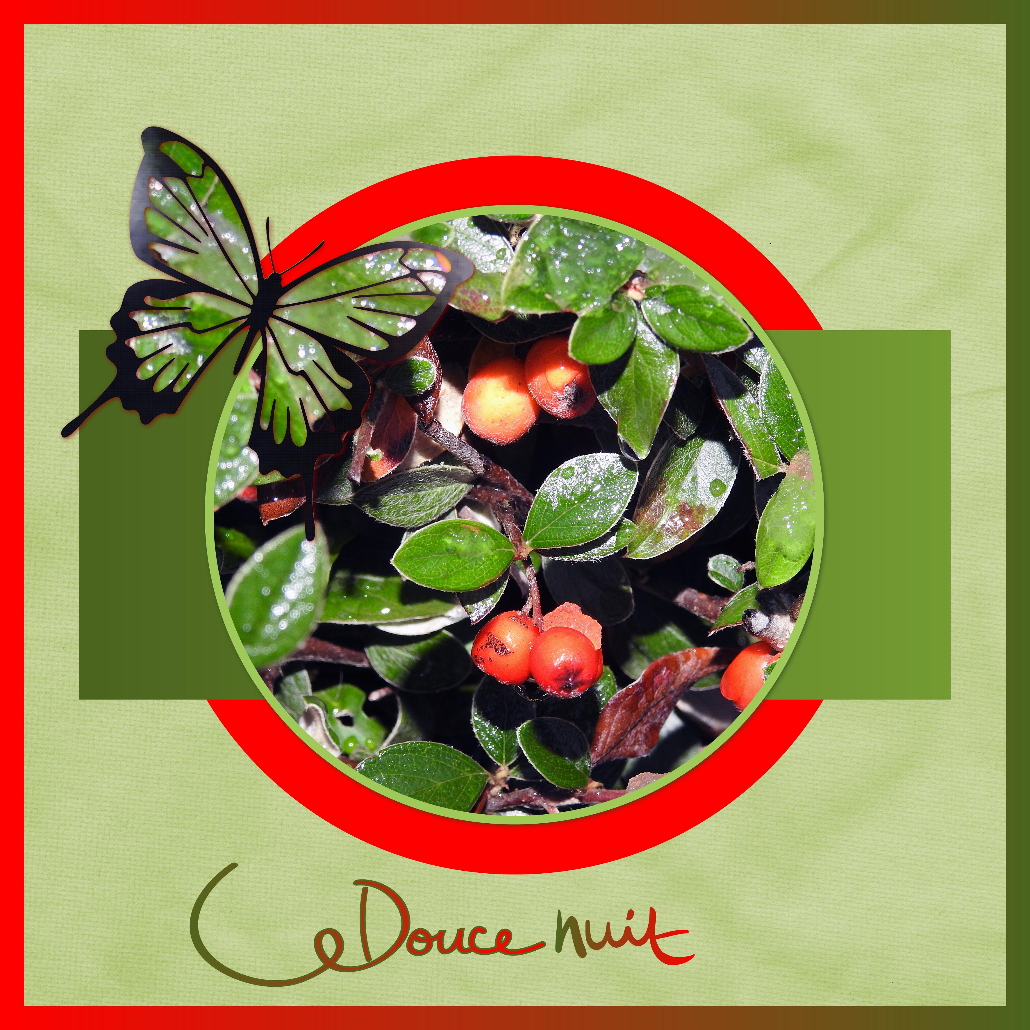 J - DOUCE NUIT.jpg