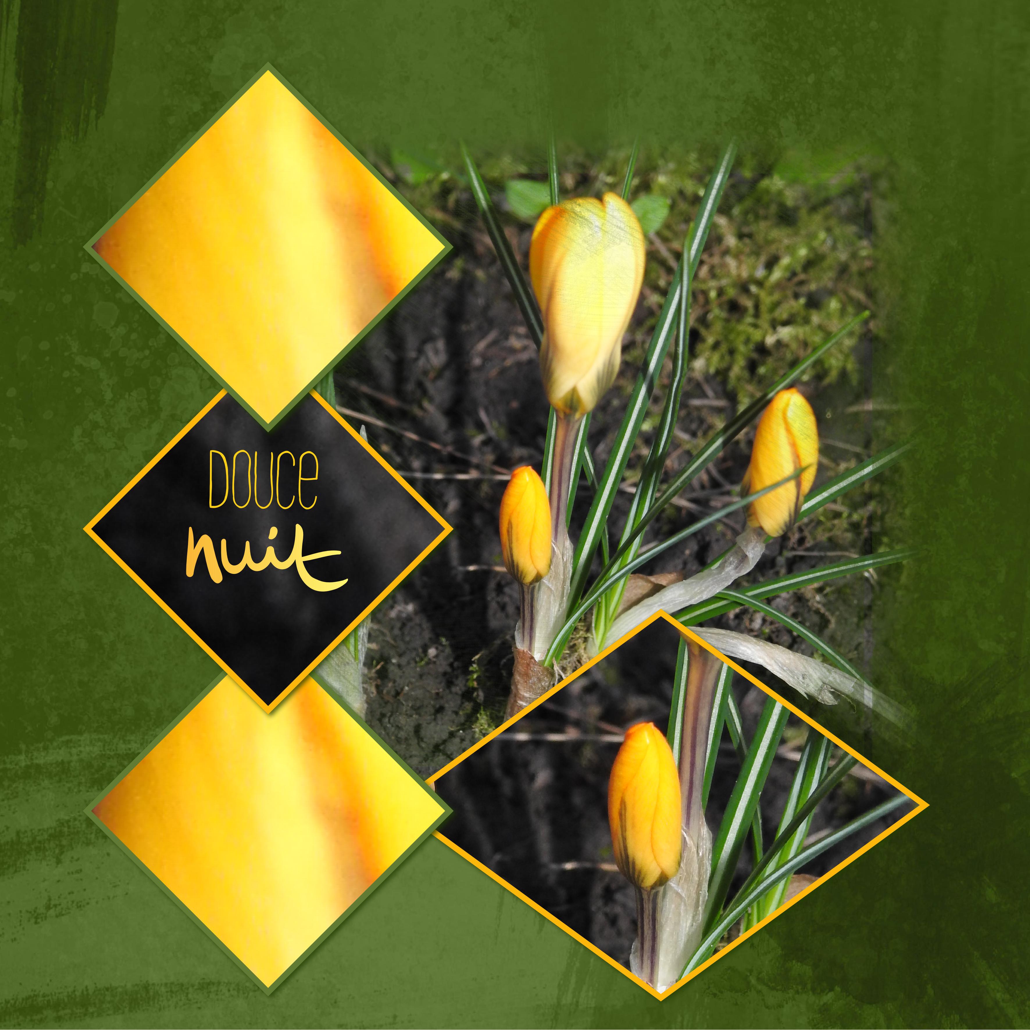 J - DOUCE NUIT.jpg