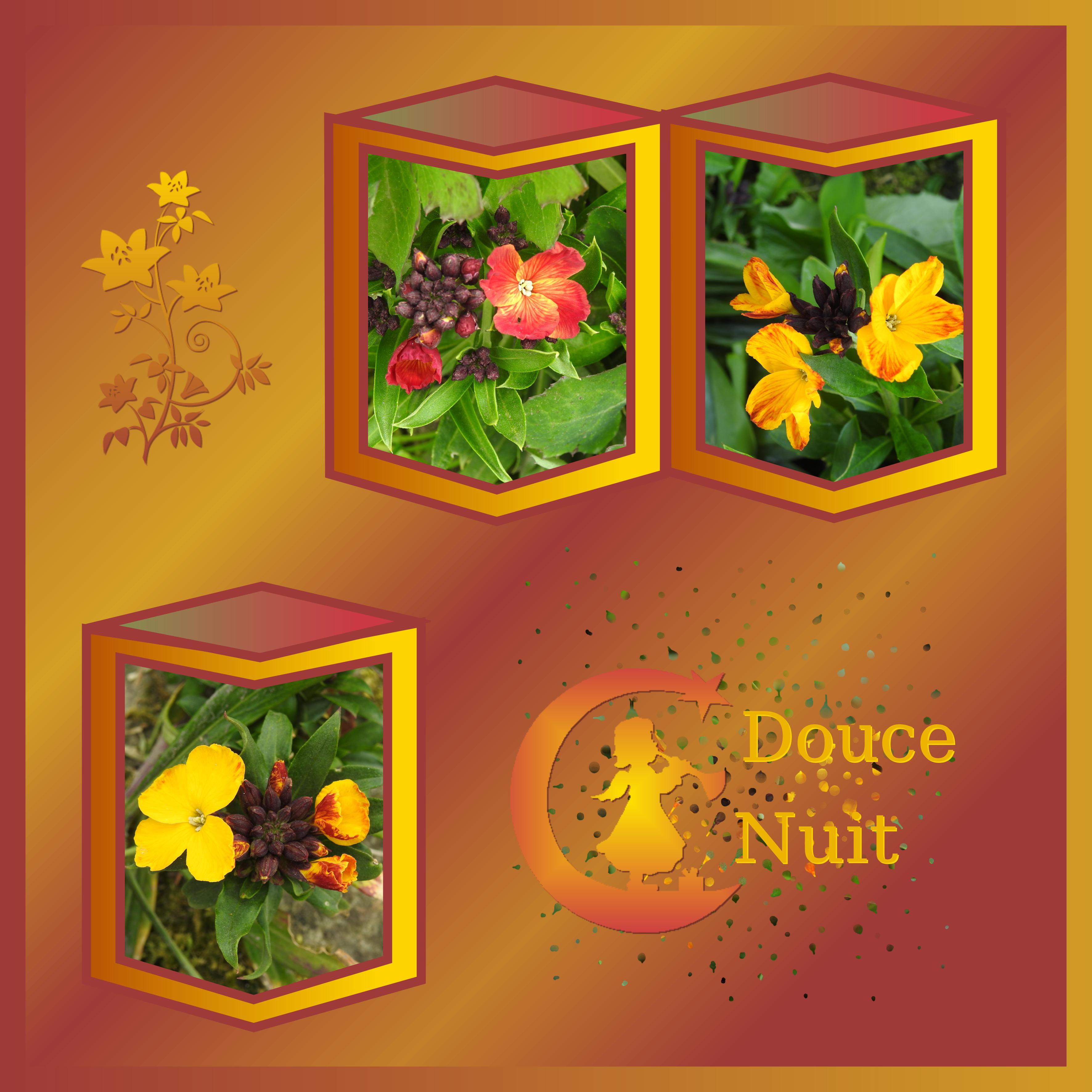 J - DOUCE NUIT.jpg