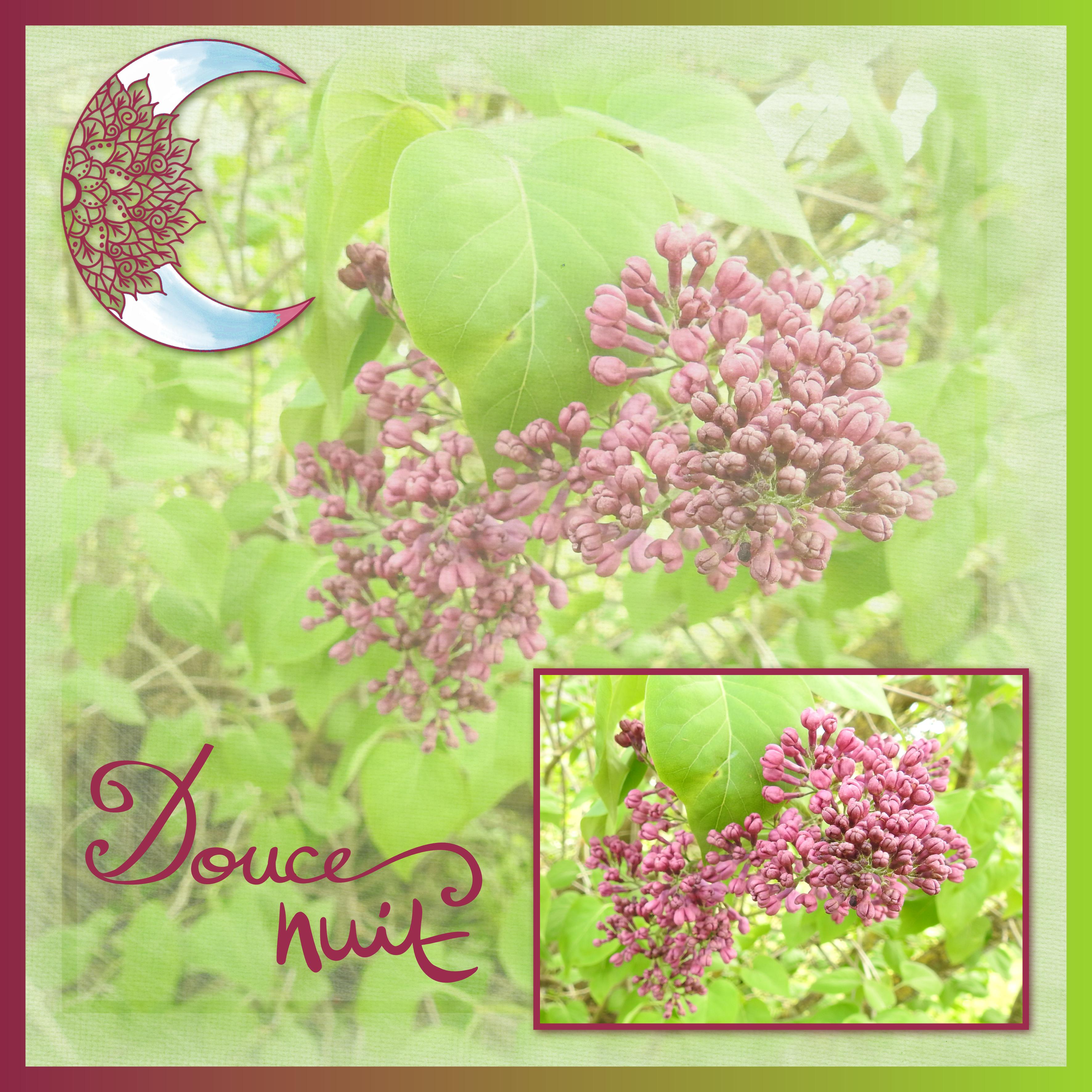 J - DOUCE NUIT.jpg