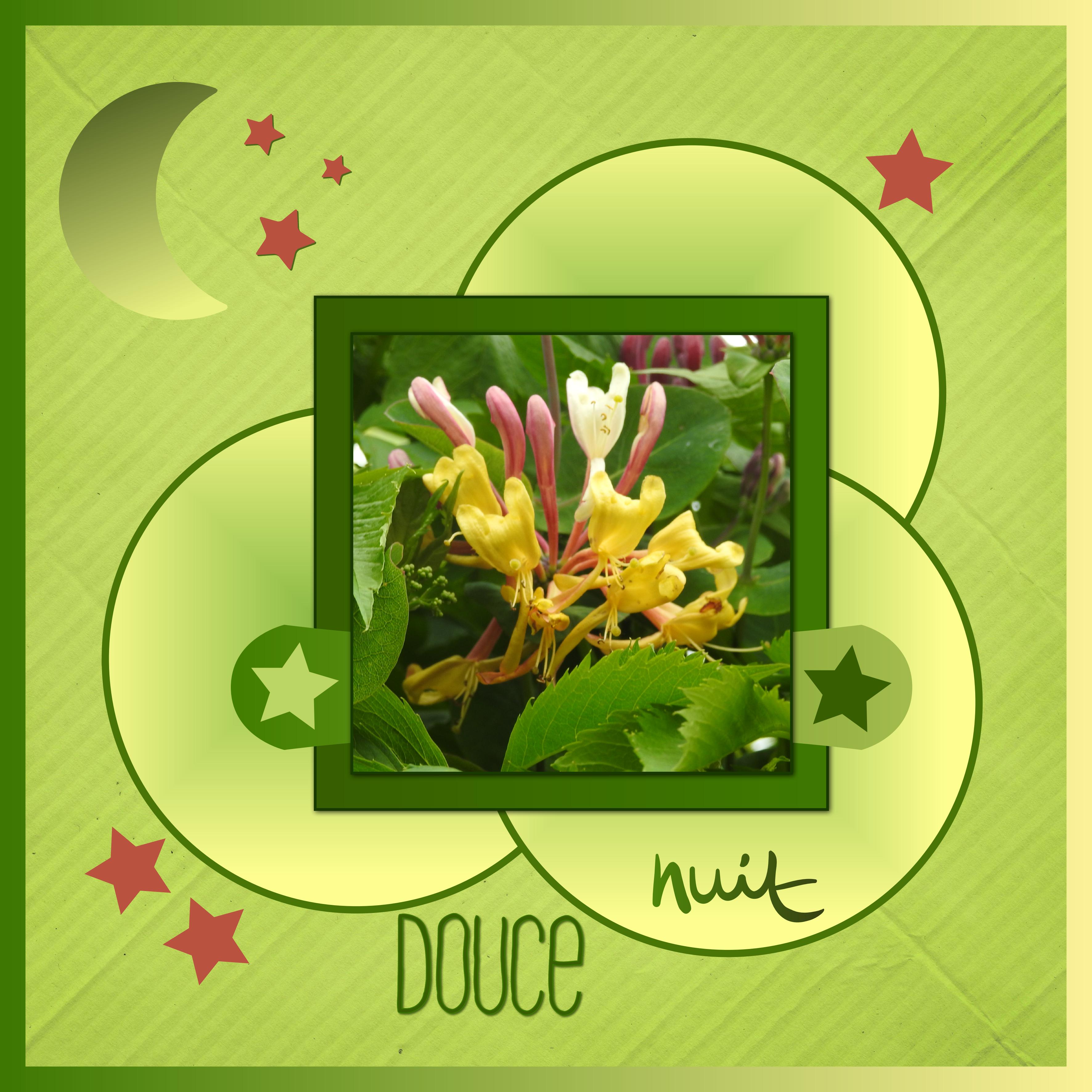 J - DOUCE NUIT.jpg