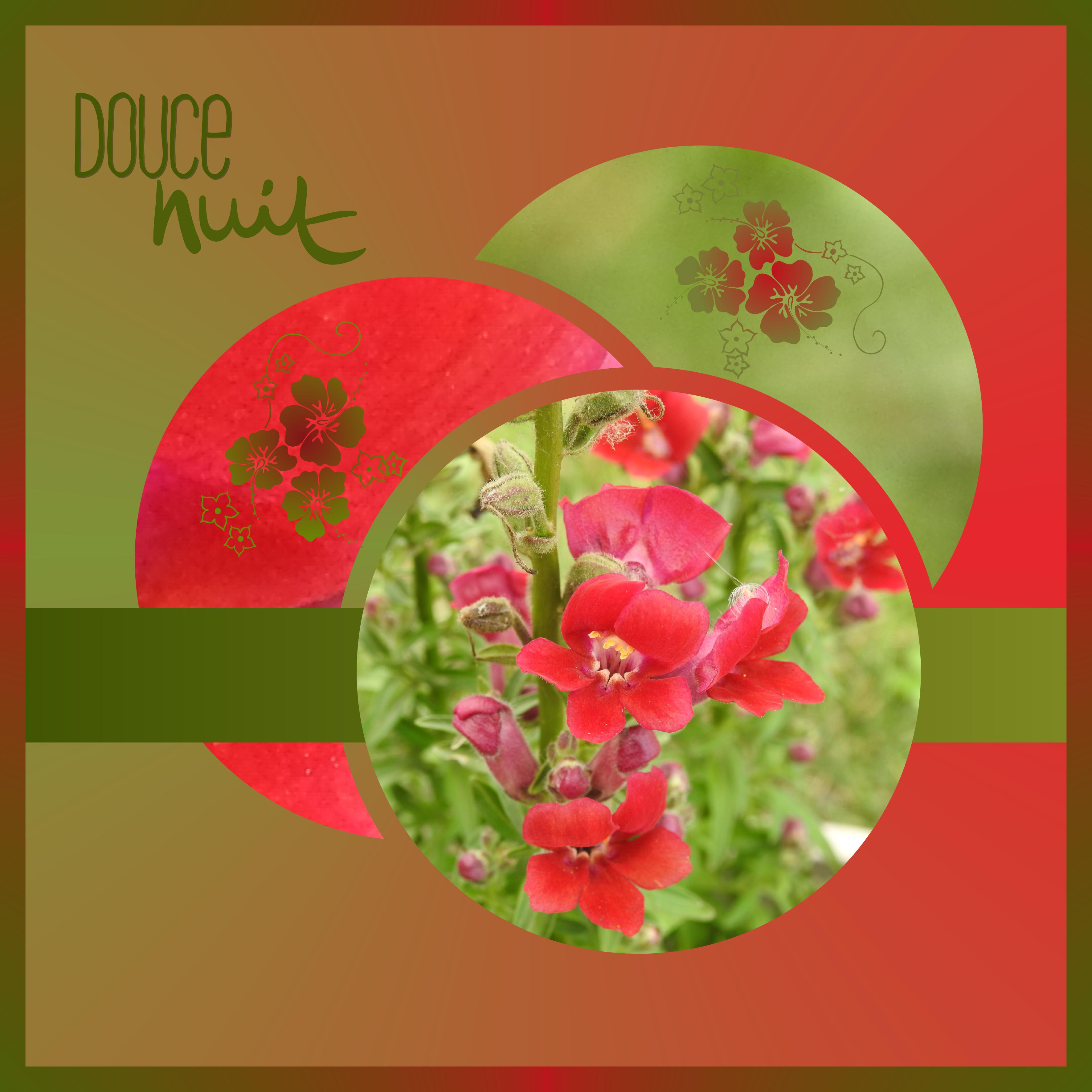 J - DOUCE NUIT.jpg