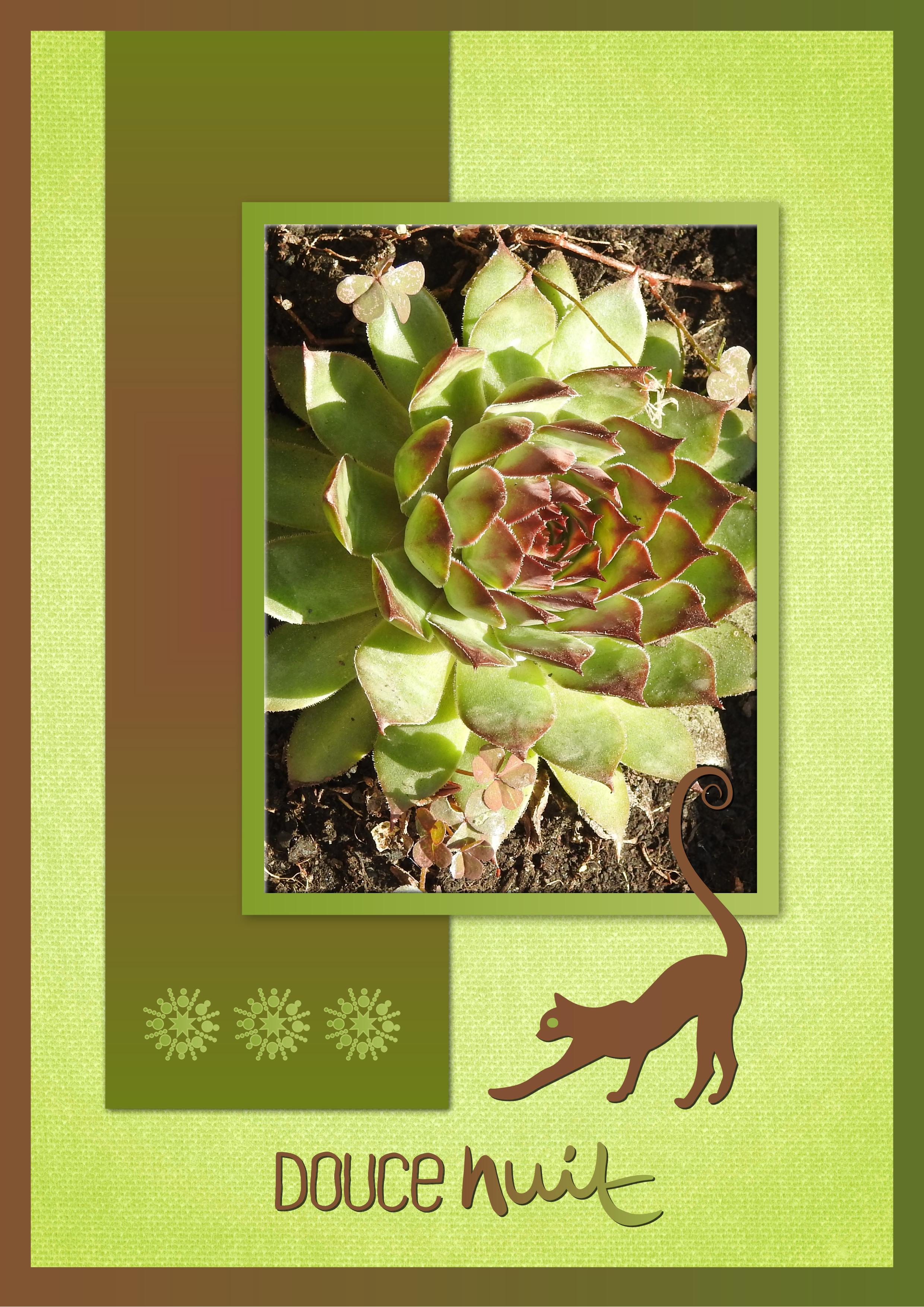 J - DOUCE NUIT.jpg