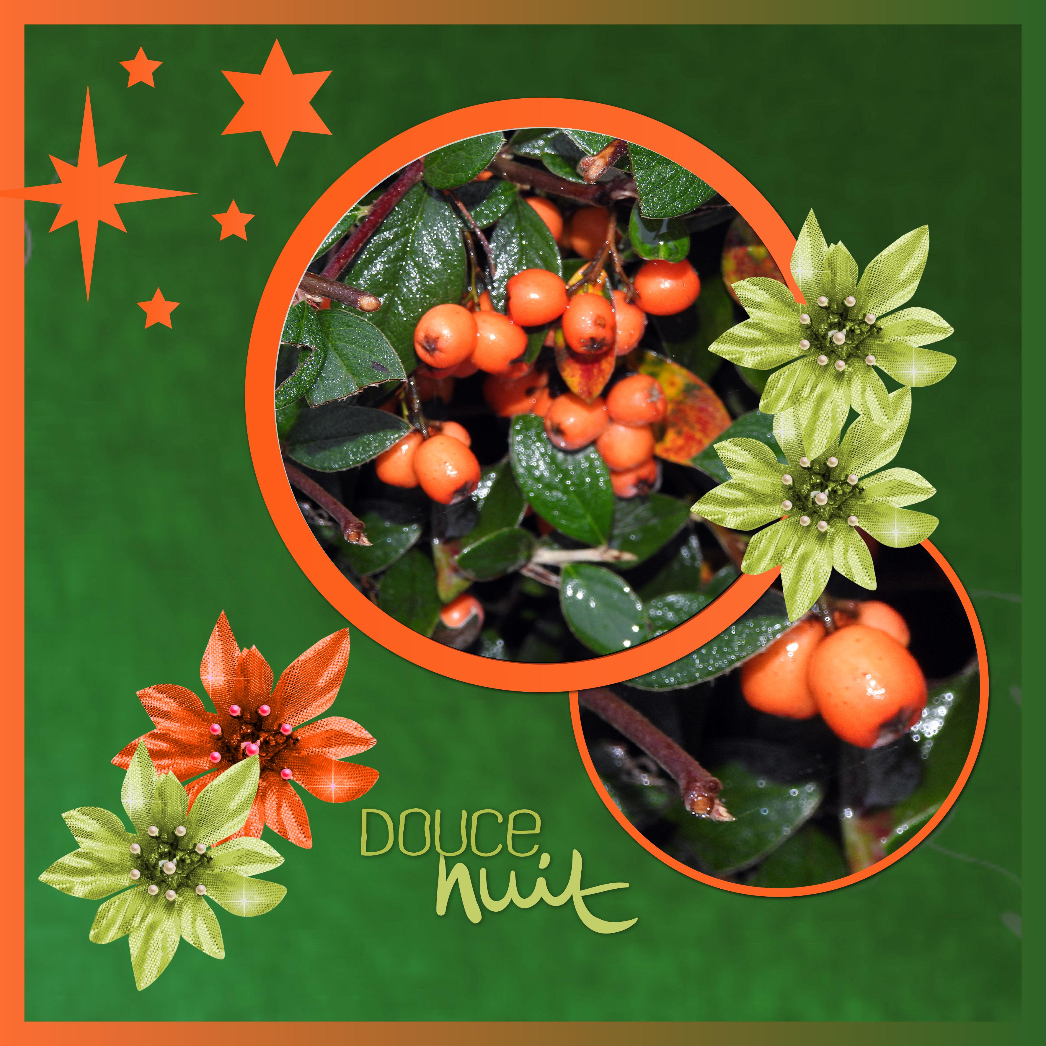 J - DOUCE NUIT.jpg