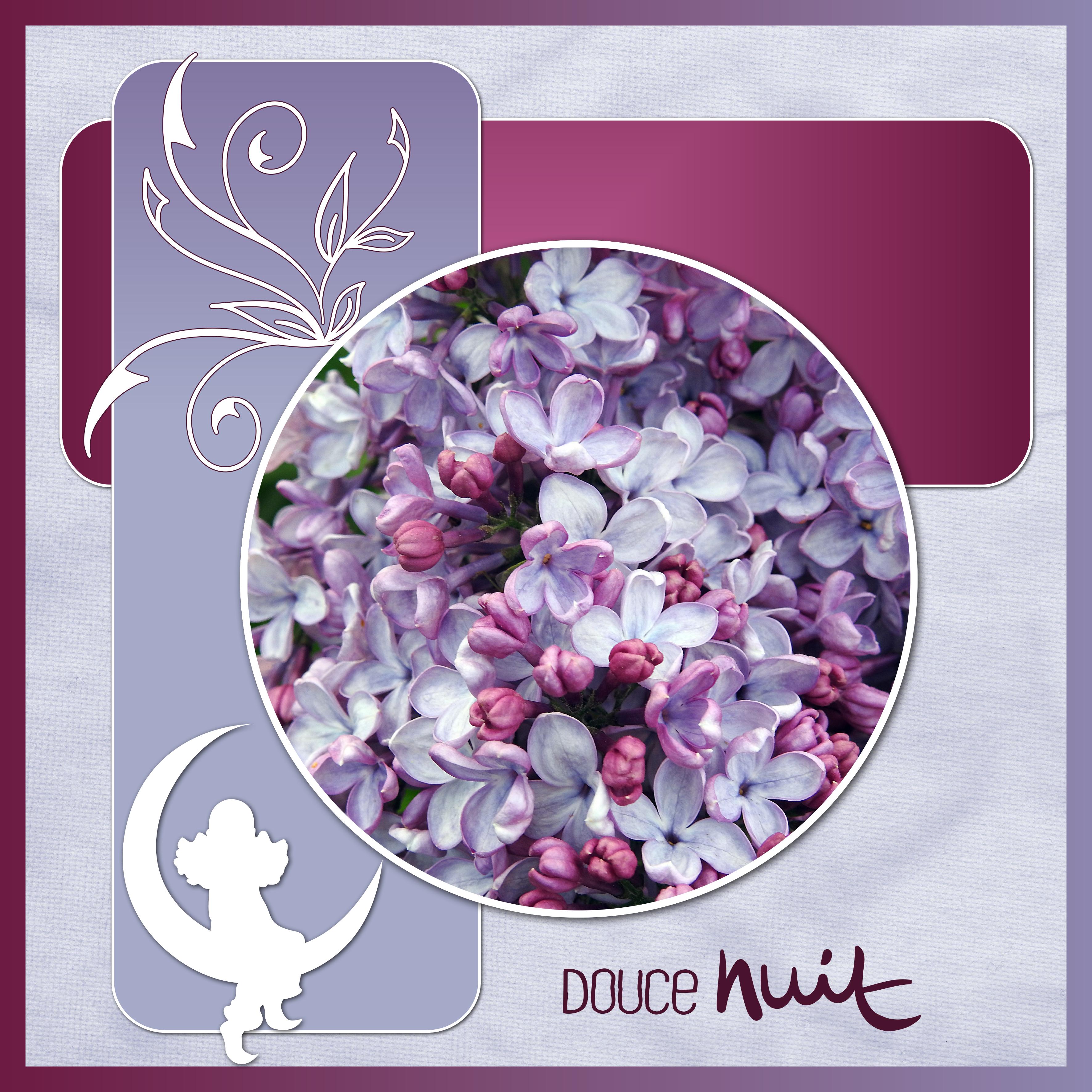 J - DOUCE NUIT.jpg