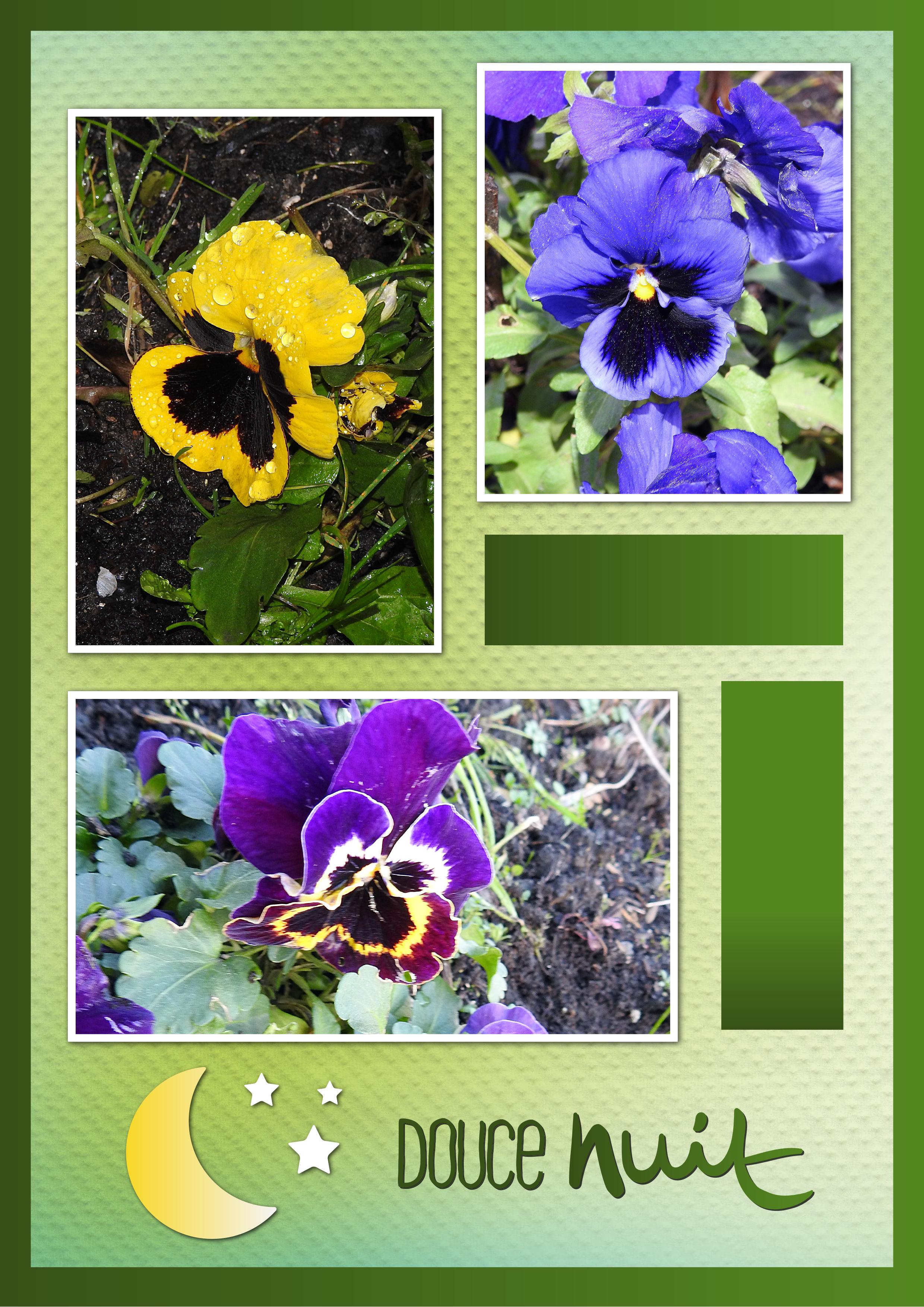 J - DOUCE NUIT.jpg