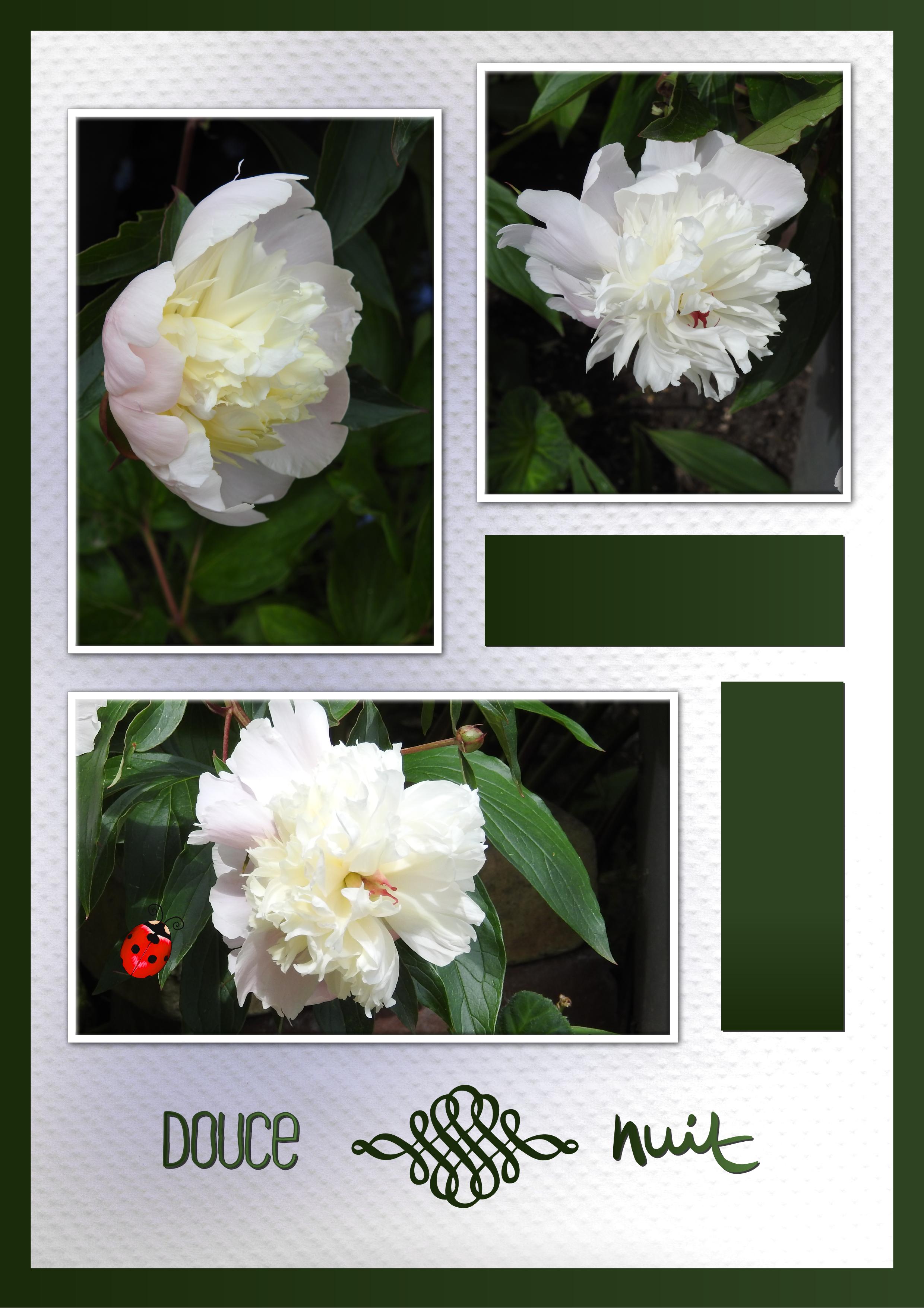 J - DOUCE NUIT.jpg