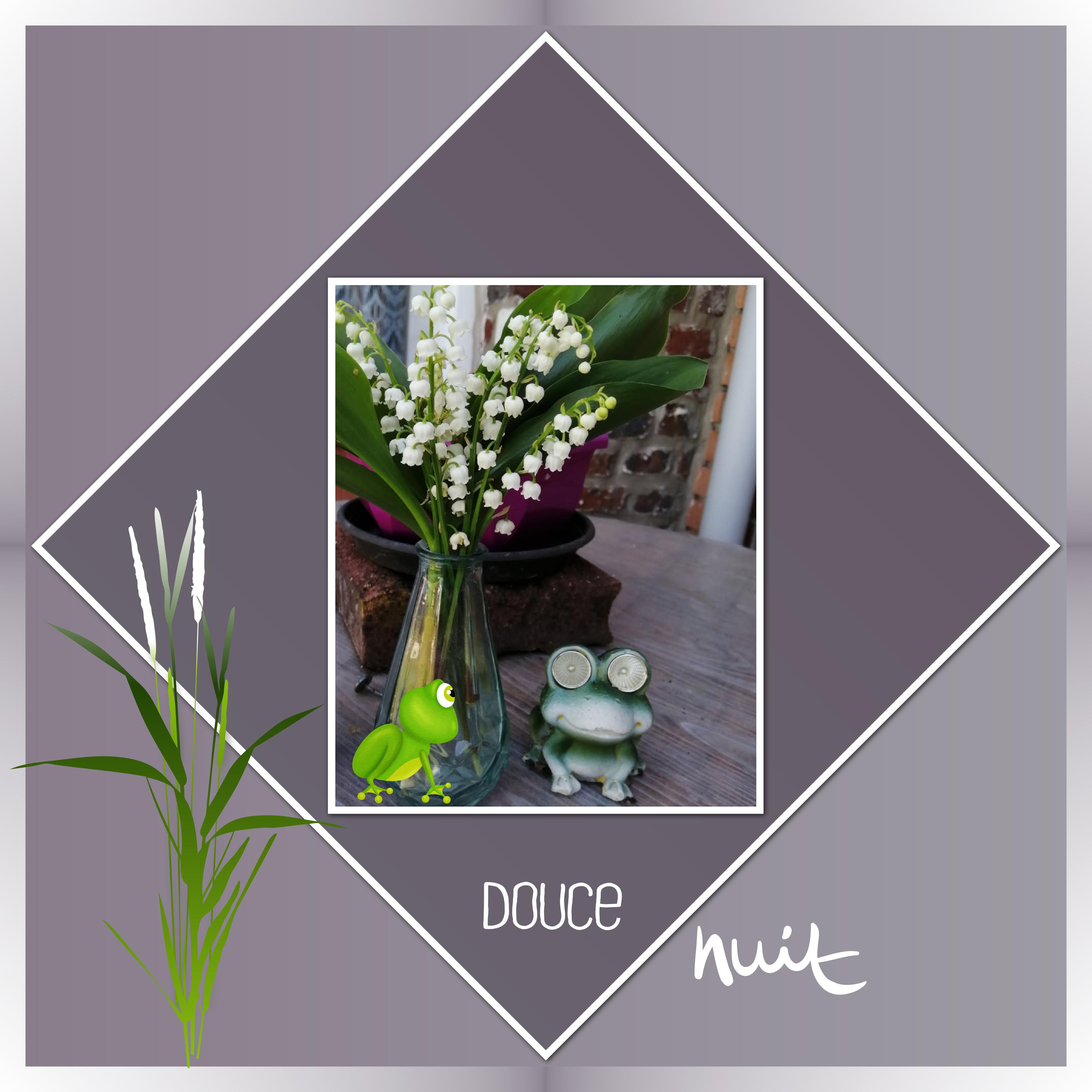 J - DOUCE NUIT.jpg