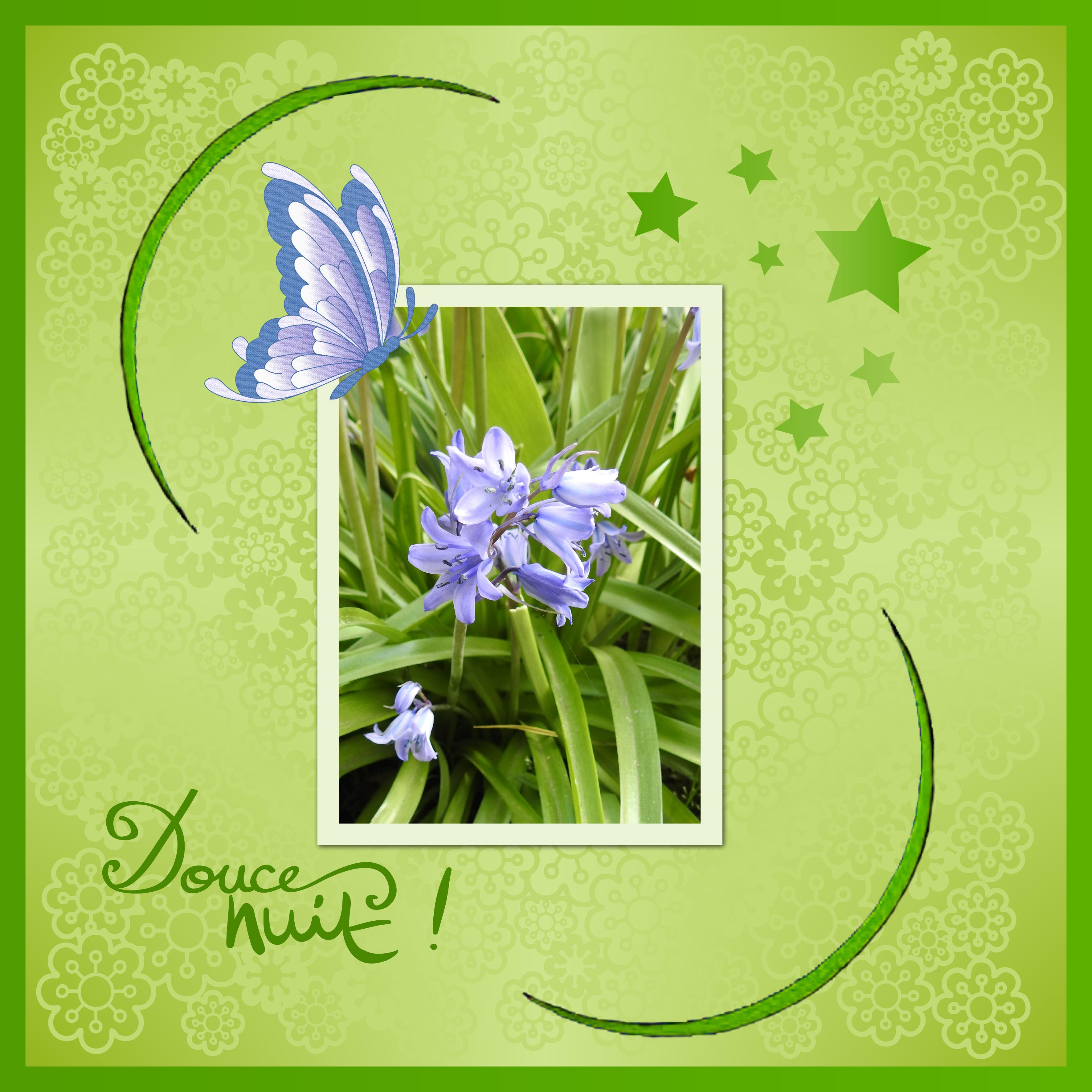 J - DOUCE NUIT.jpg