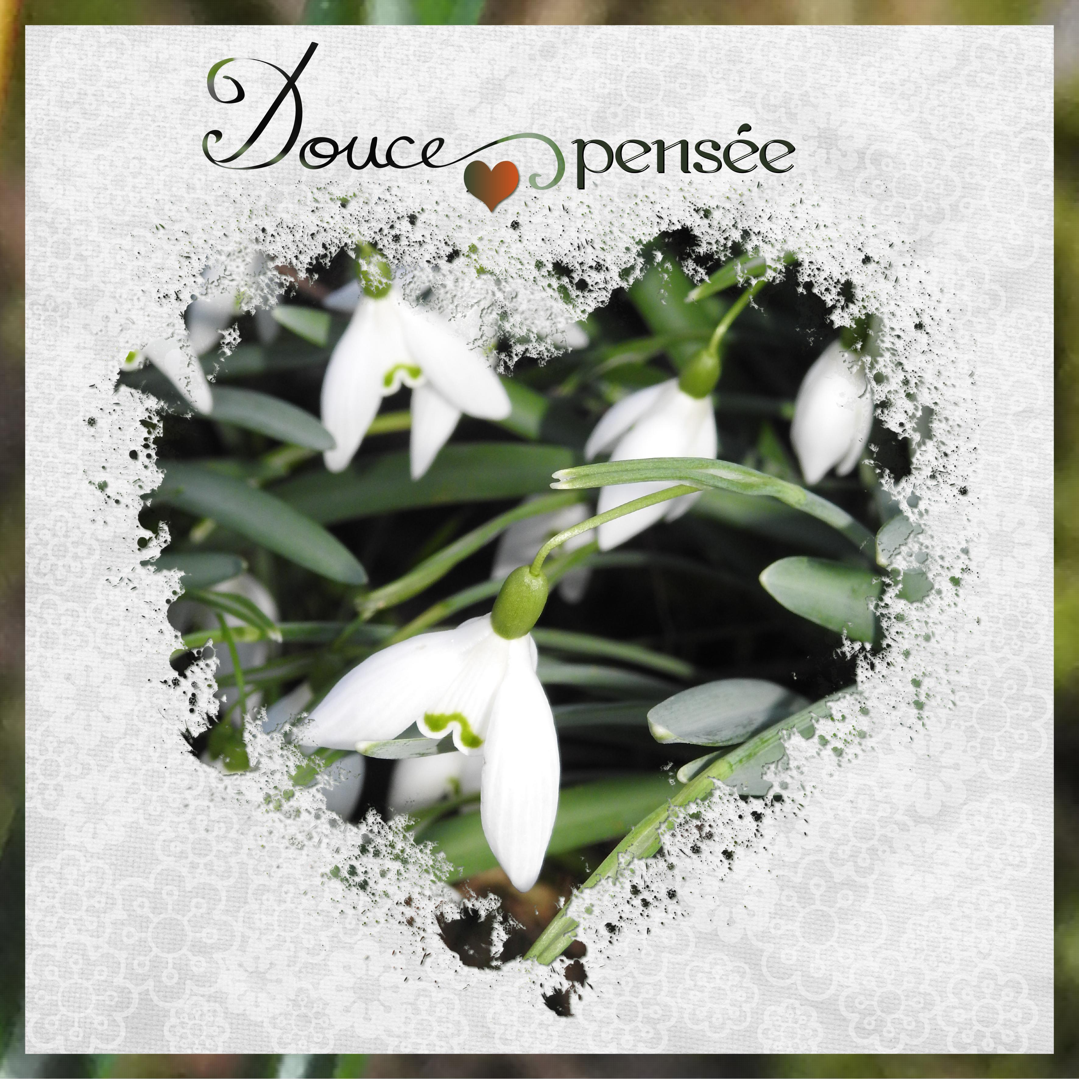 J - DOUCE PENSEE.jpg