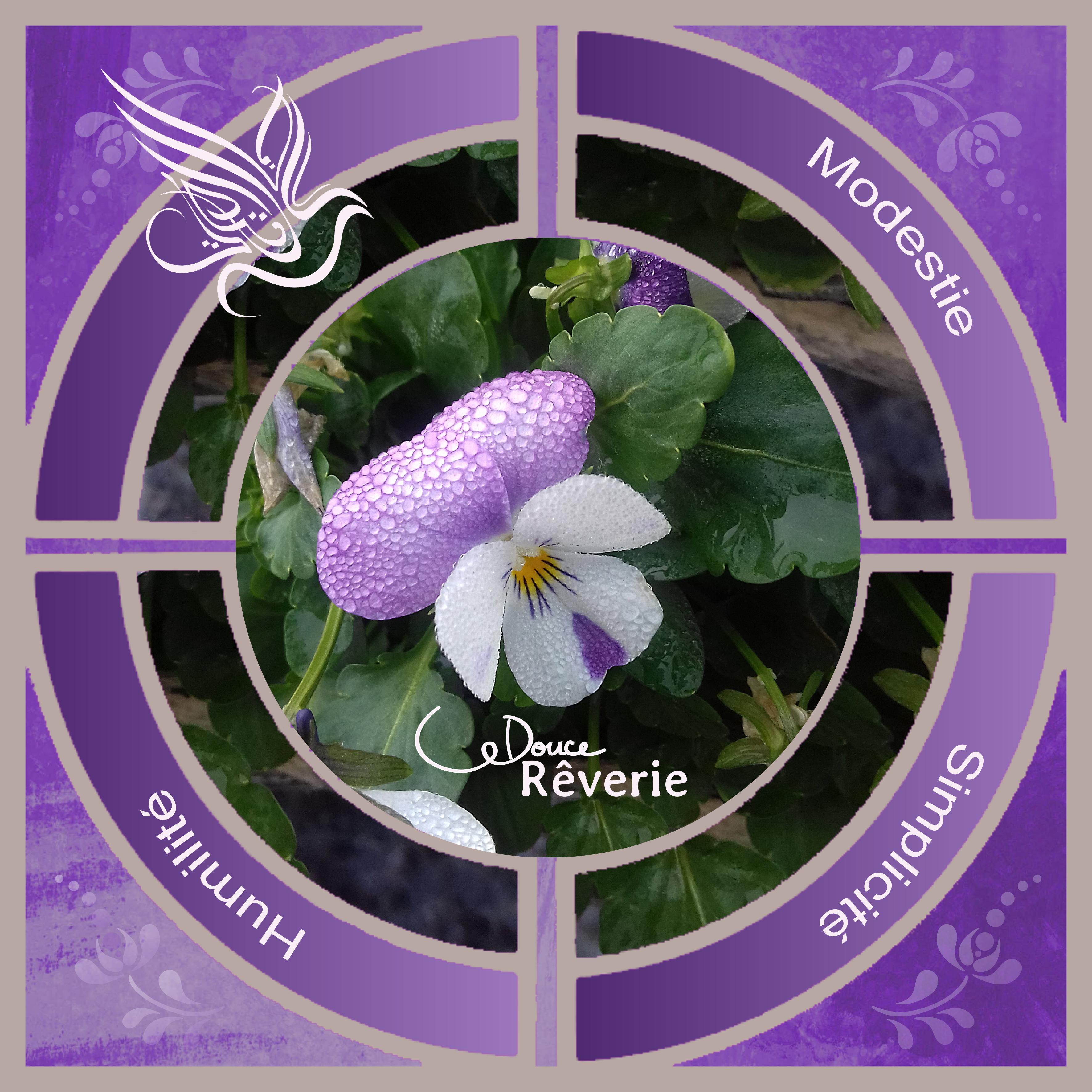 J - DOUCE REVERIE.jpg