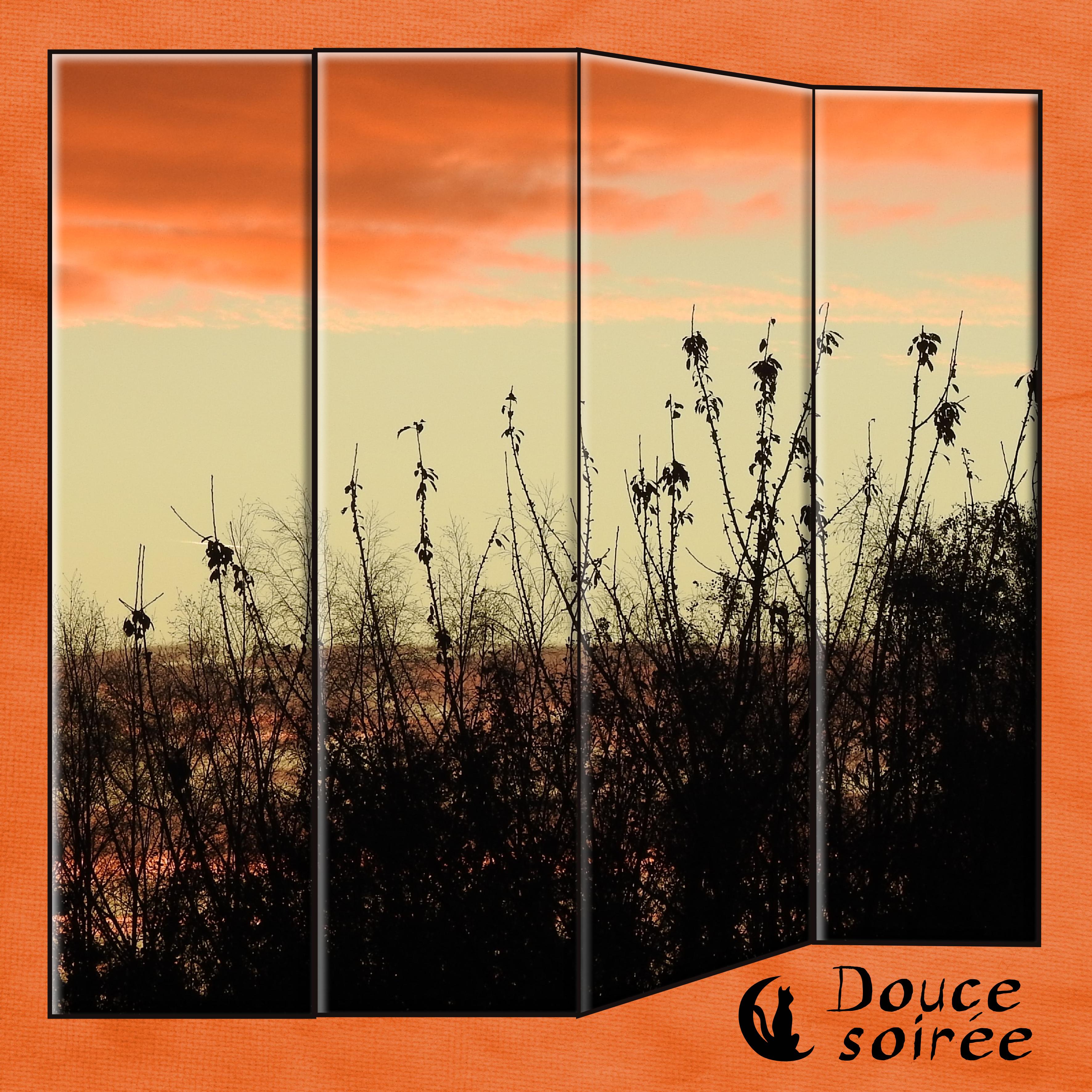 J - DOUCE SOIREE.jpg