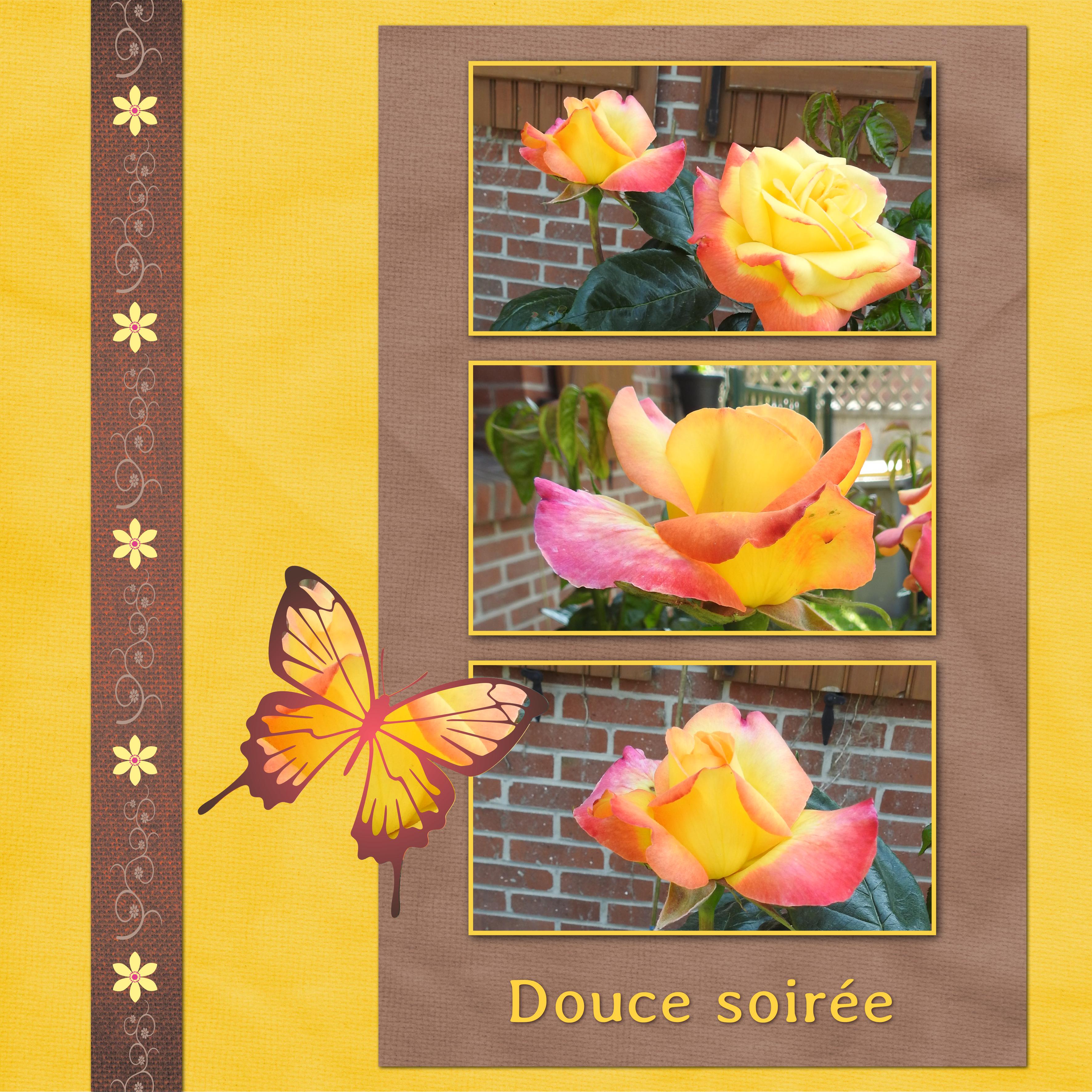 J - DOUCE SOIREE.jpg