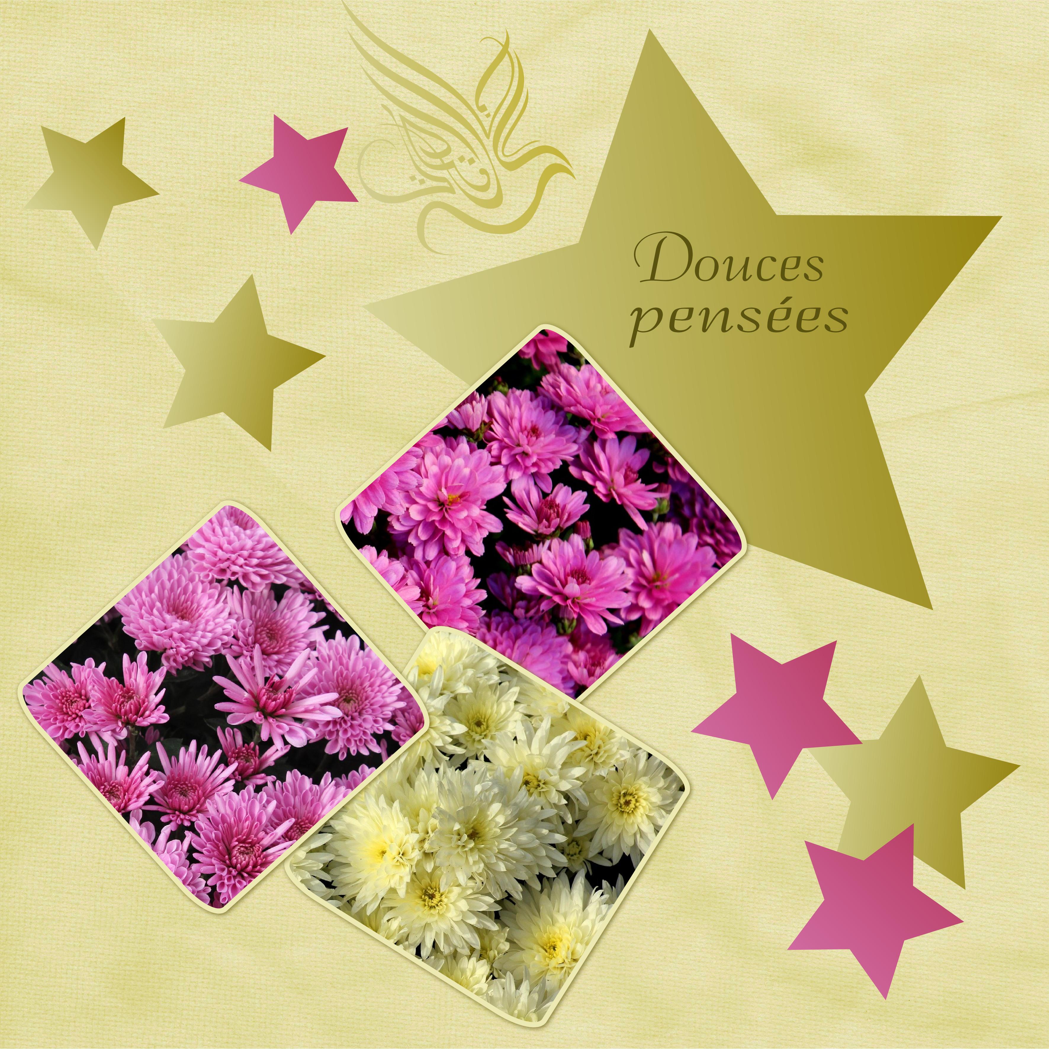 J - DOUCES PENSEES.jpg