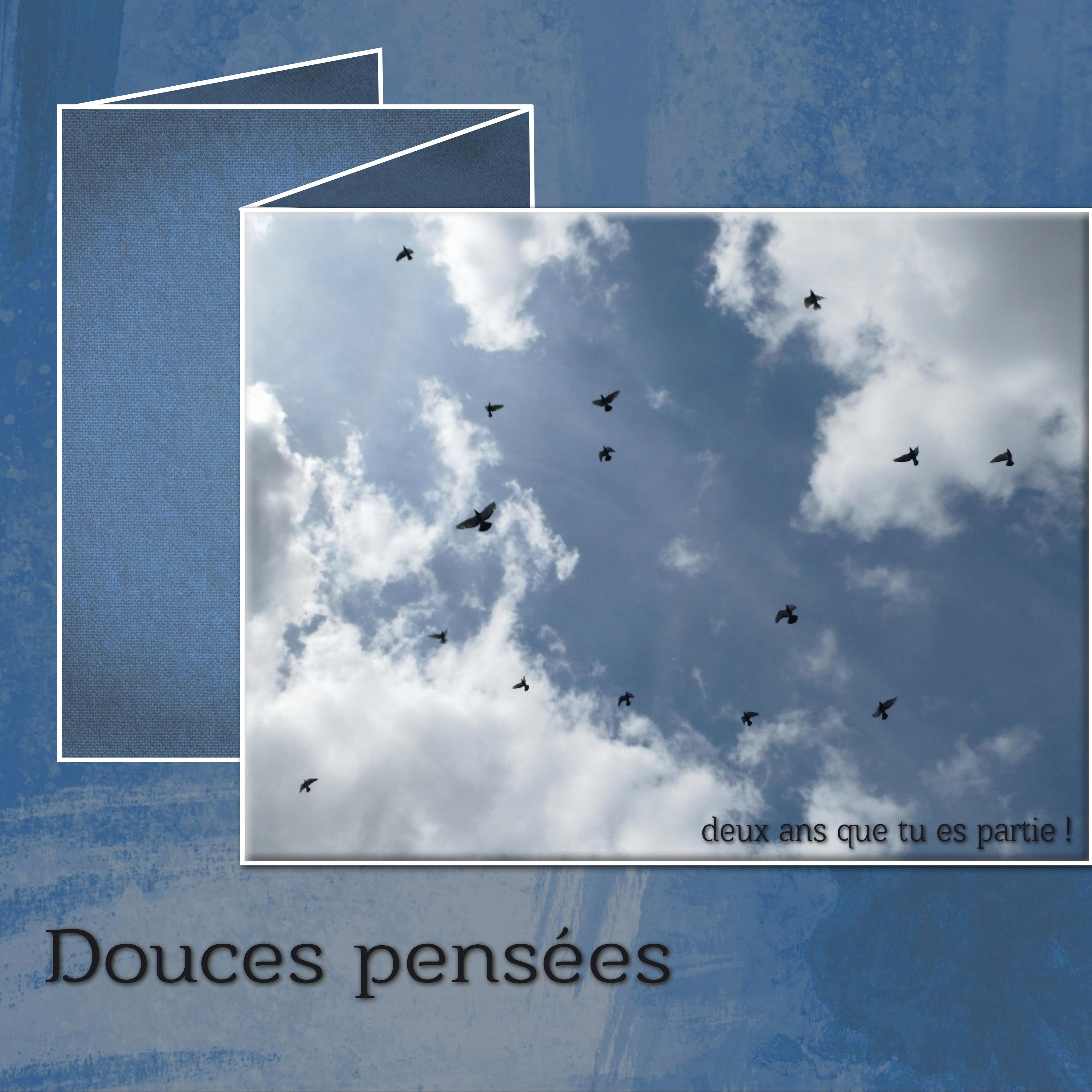 J - DOUCES PENSEES.jpg