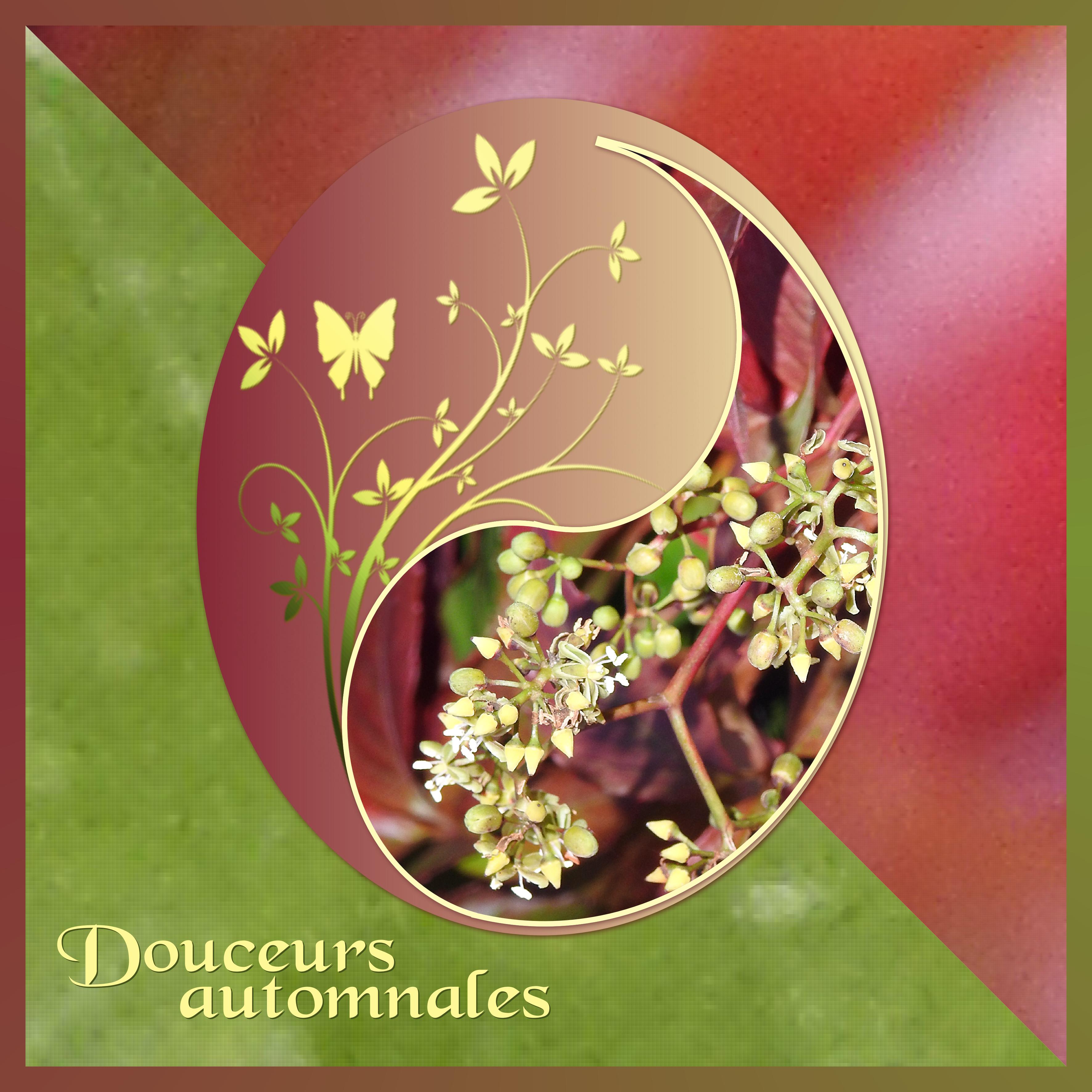 J - DOUCEURS AUTOMNALES.jpg