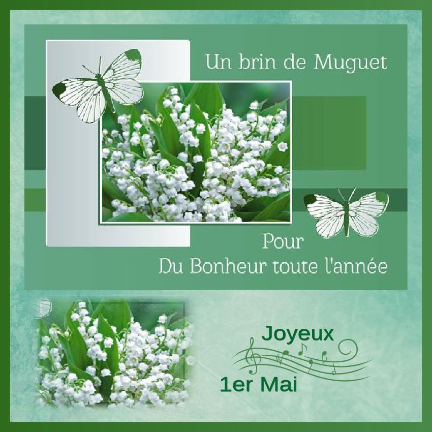 J-e 77 - UN BRIN DE MUGUET.jpg
