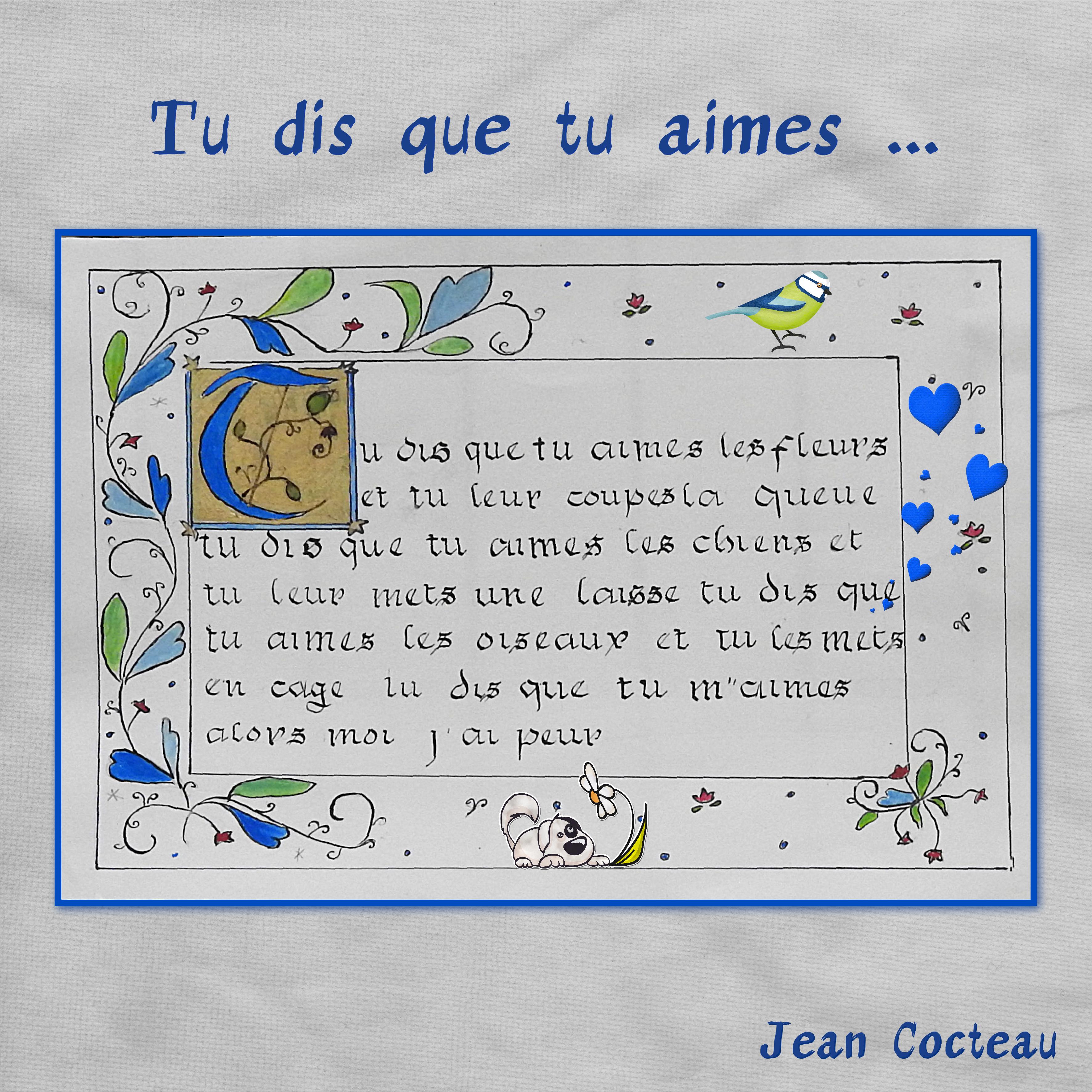 J-e120 - TU DIS QUE TU AIMES.jpg