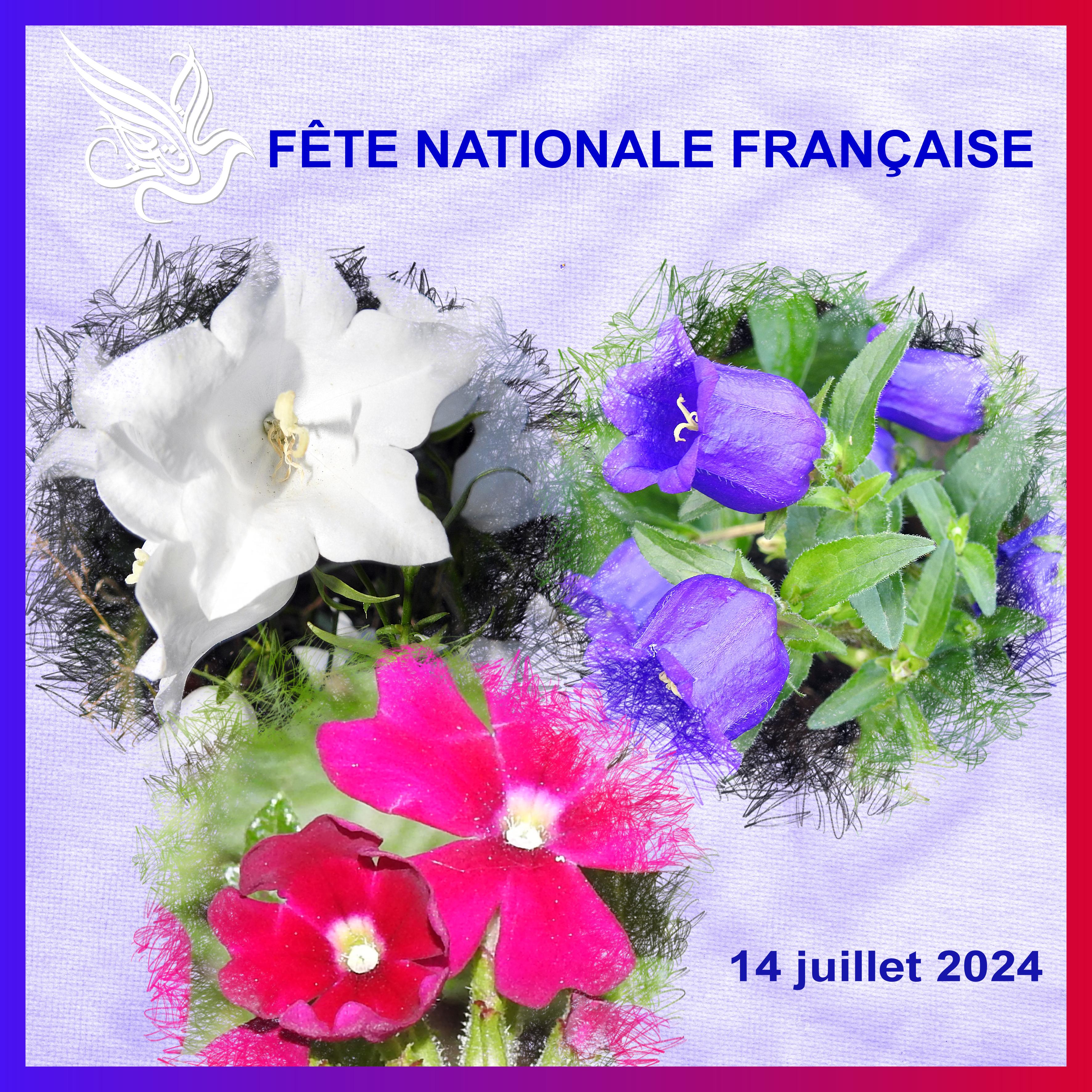 J-e138 - FETE NATIONALE FRANCAISE.jpg