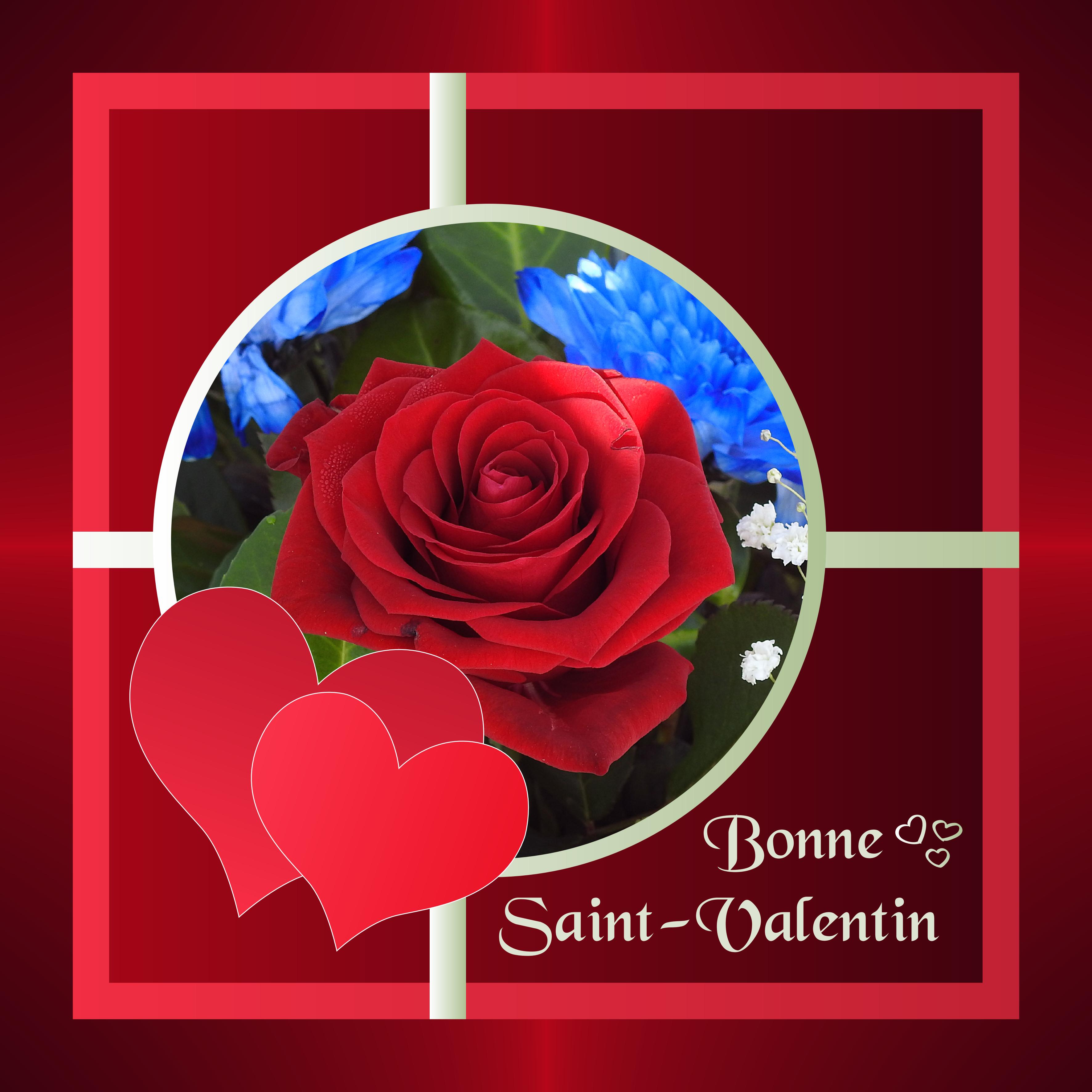 J-e165 - BONNE SAINT-VALENTIN.jpg