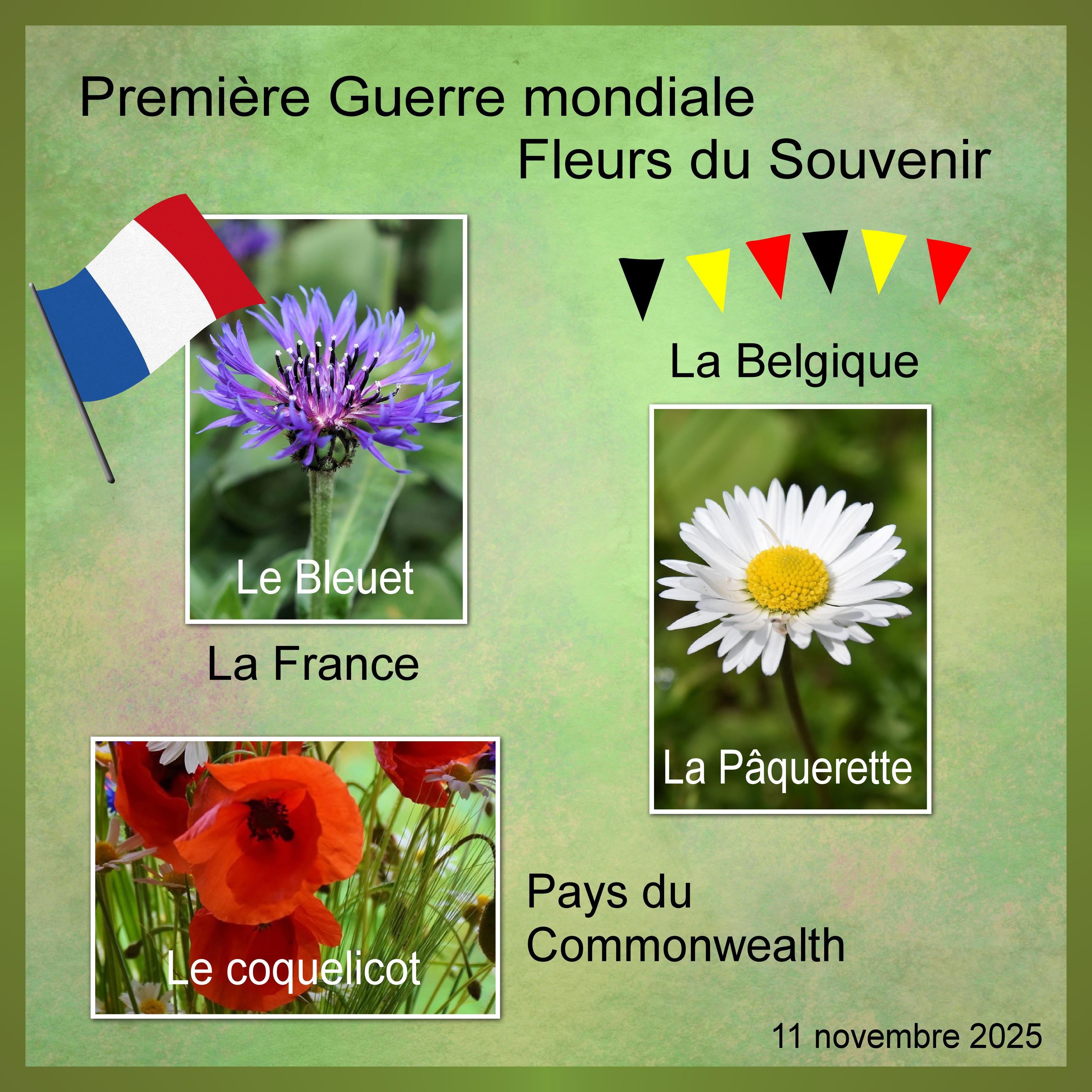 J-e181 - FLEURS DU SOUVENIR.jpg
