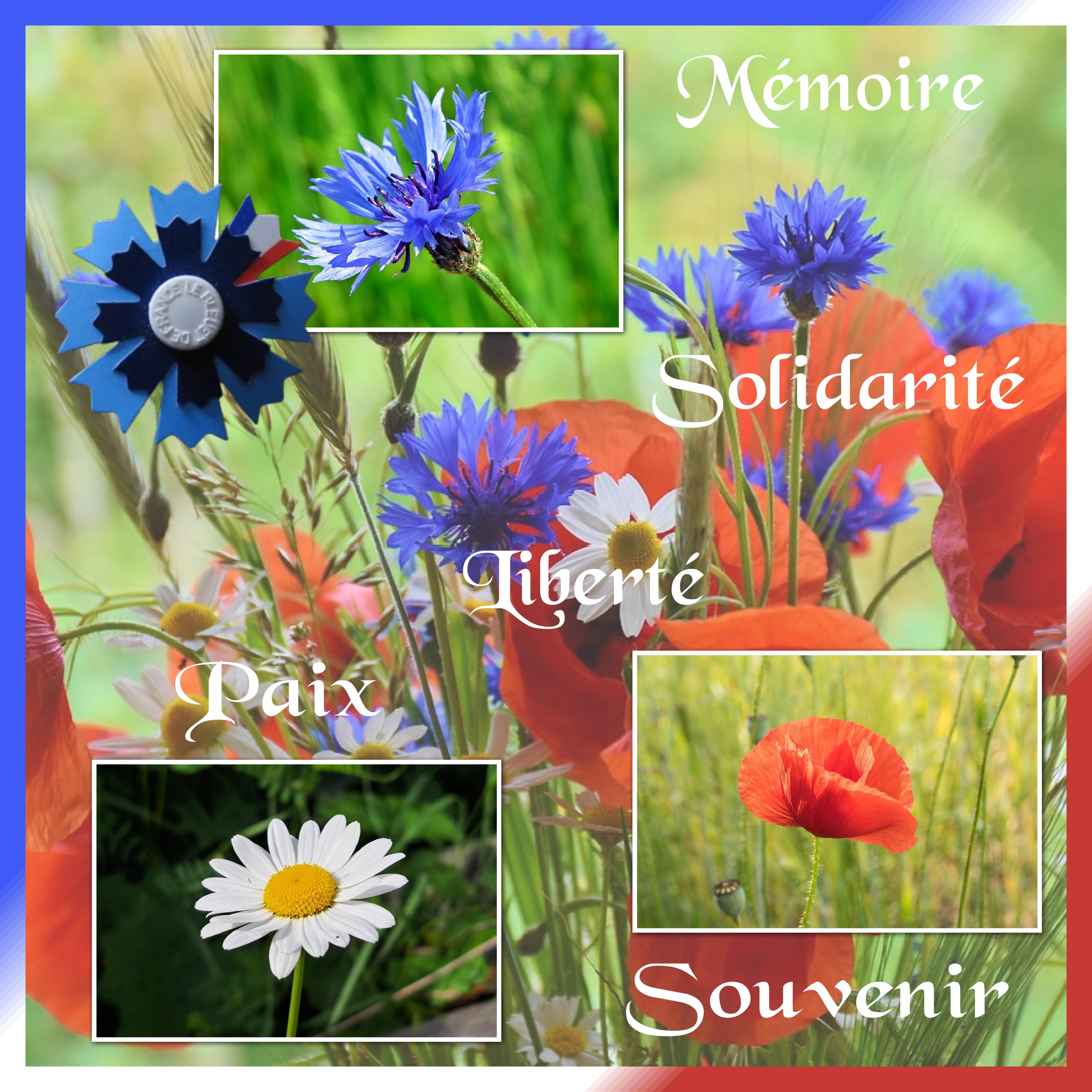 J-e182 - MEMOIRE PAIX ...  .jpg