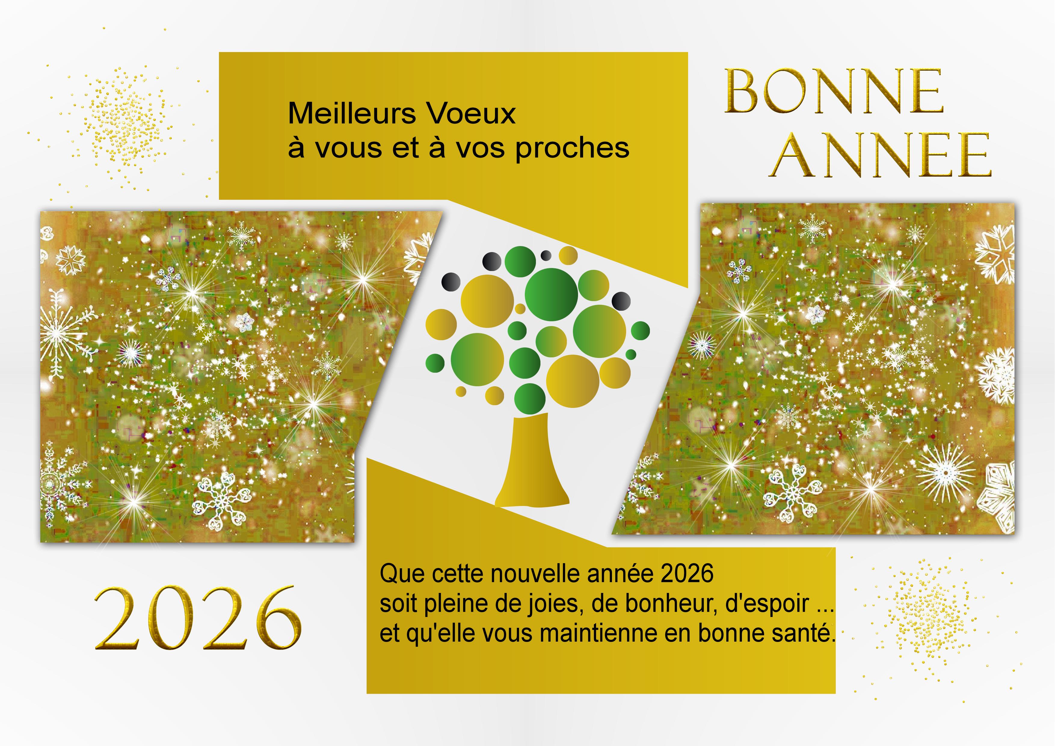 J-e187 - BONNE ANNEE.jpg