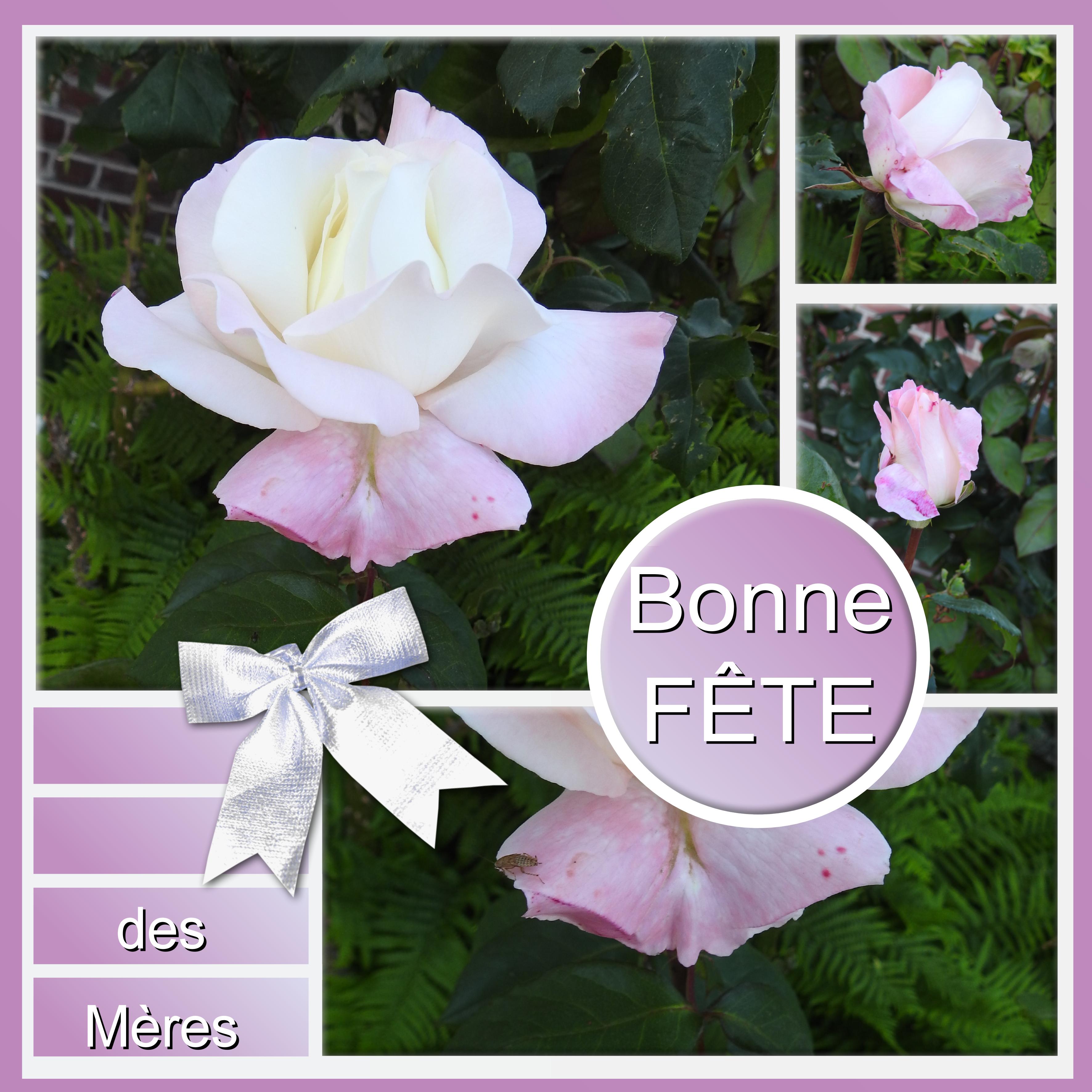 J-e195 -   BONNE FETE DES MERES.jpg