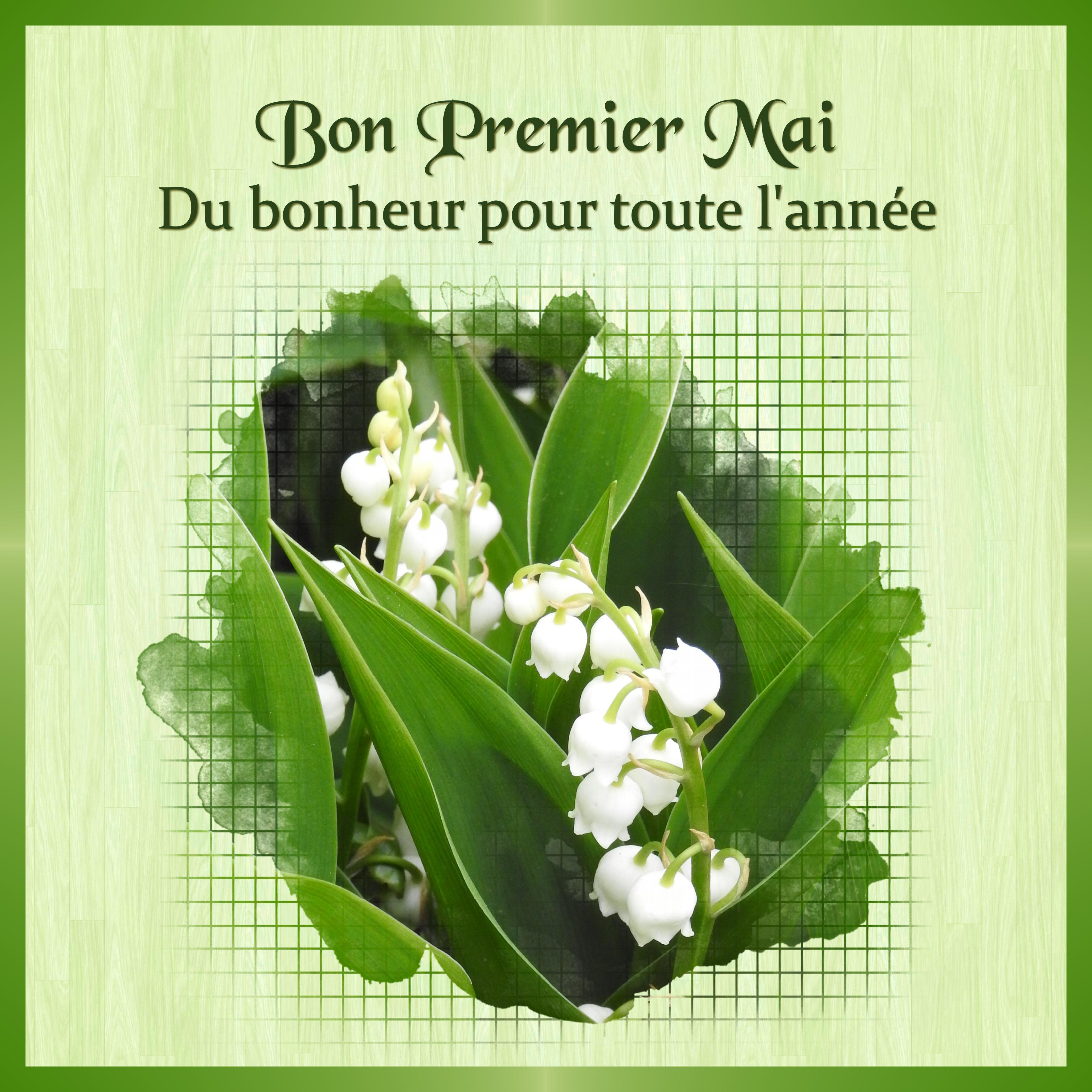 J-e33 - BON PREMIER MAI.jpg