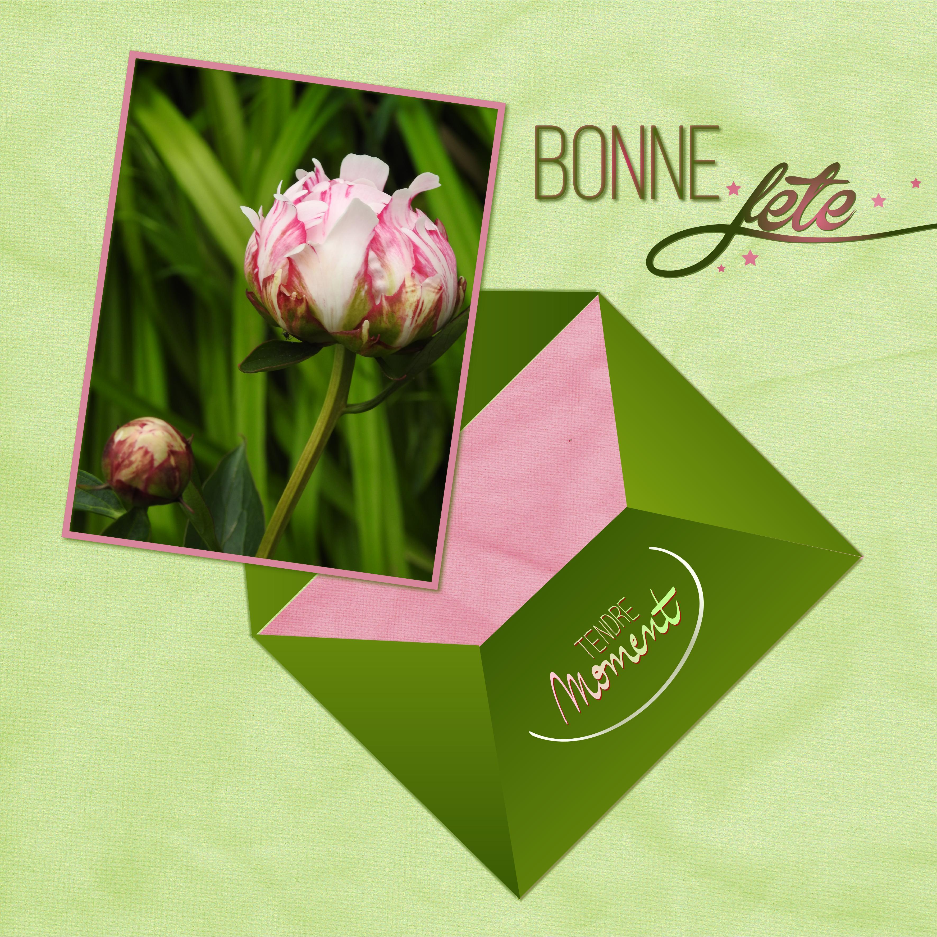 J-e37 - BONNE FETE.jpg