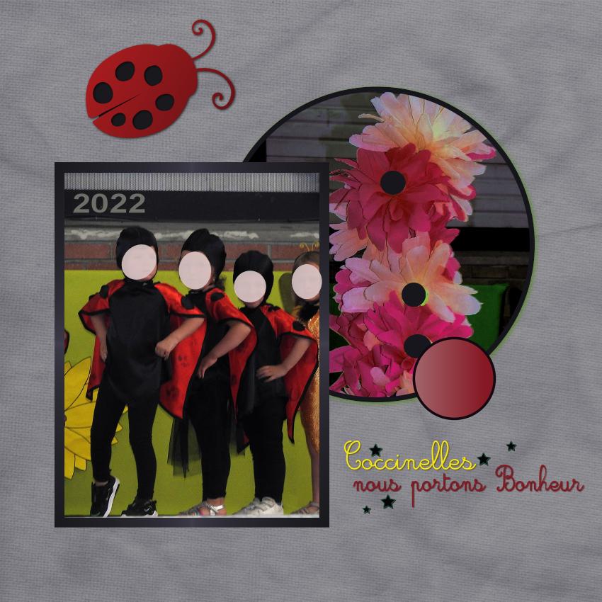 J-e48 - COCCINELLES NOUS PORTONS BONHEUR.jpg