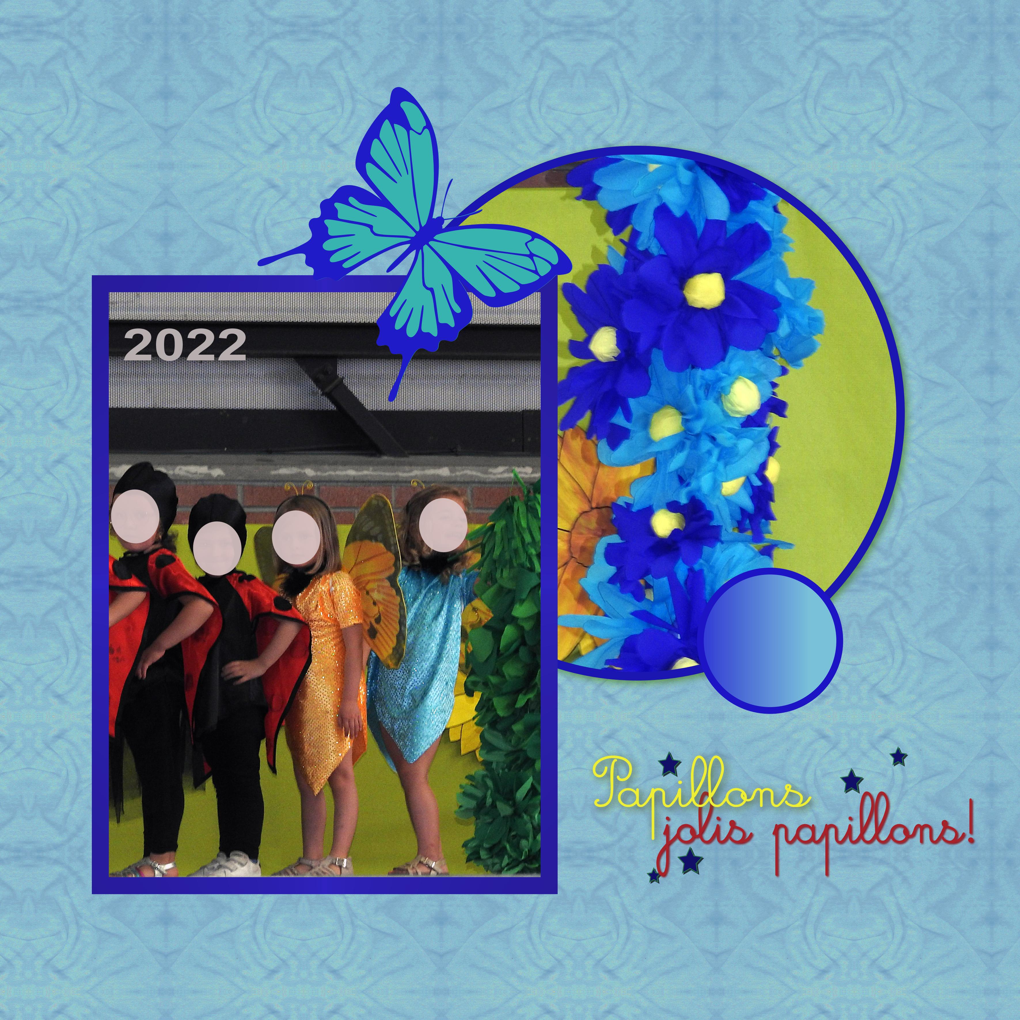 J-e49 - PAPILLONS JOLIS PAPILLONS.jpg