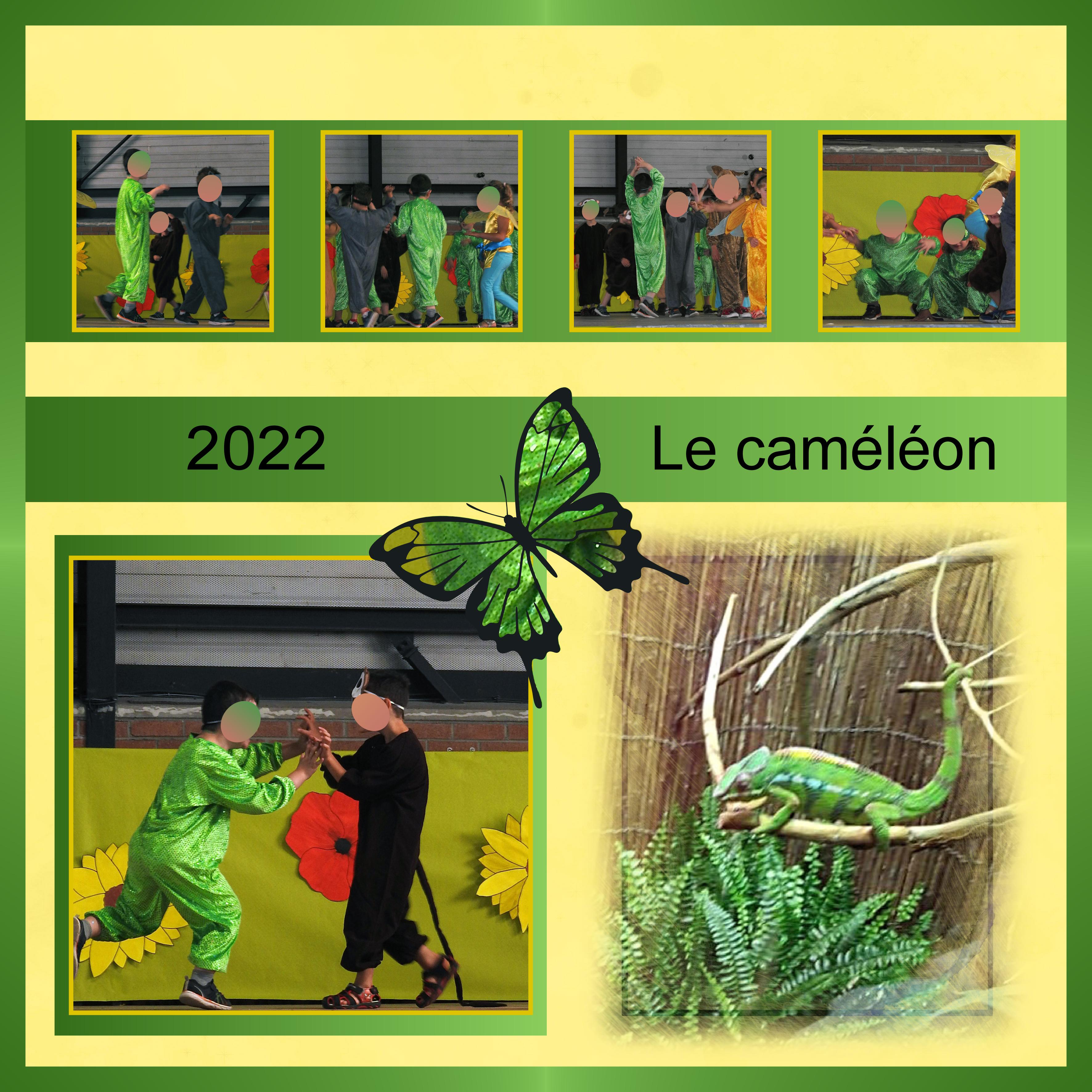 J-e50 - LE CAMELEON.jpg