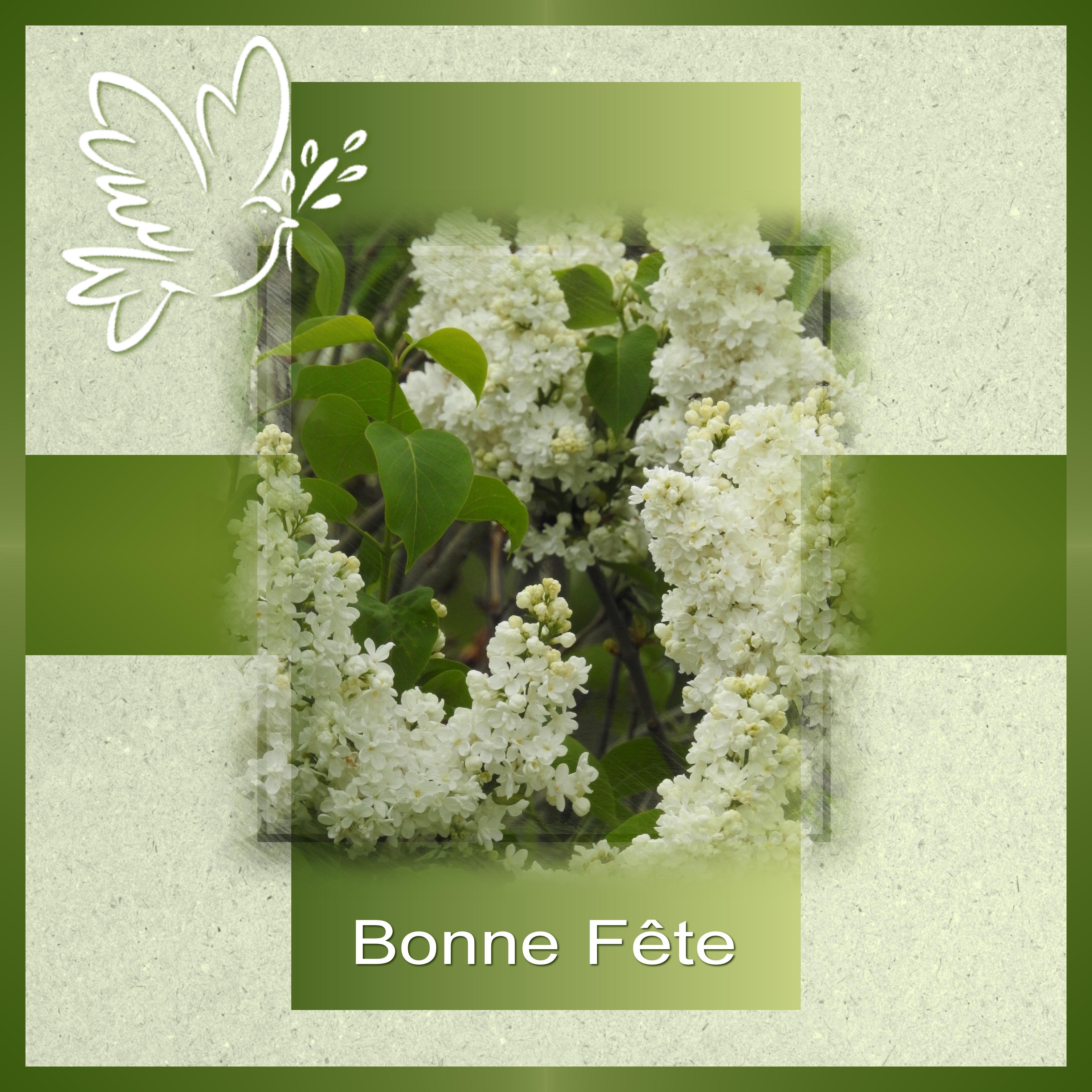 J-e53 - BONNE FETE DE LA TOUSSAINT.jpg