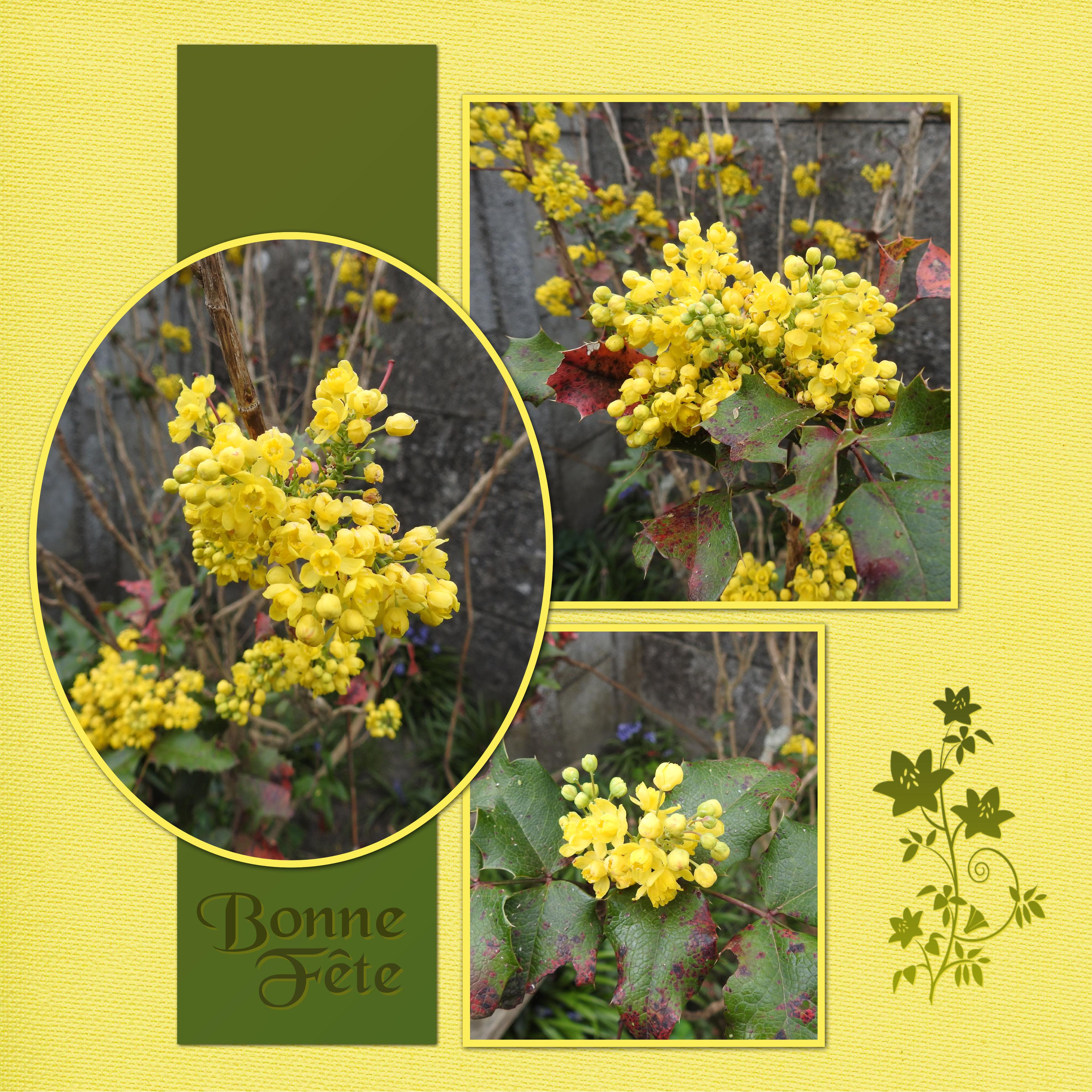 J-e56 - BONNE FETE.jpg