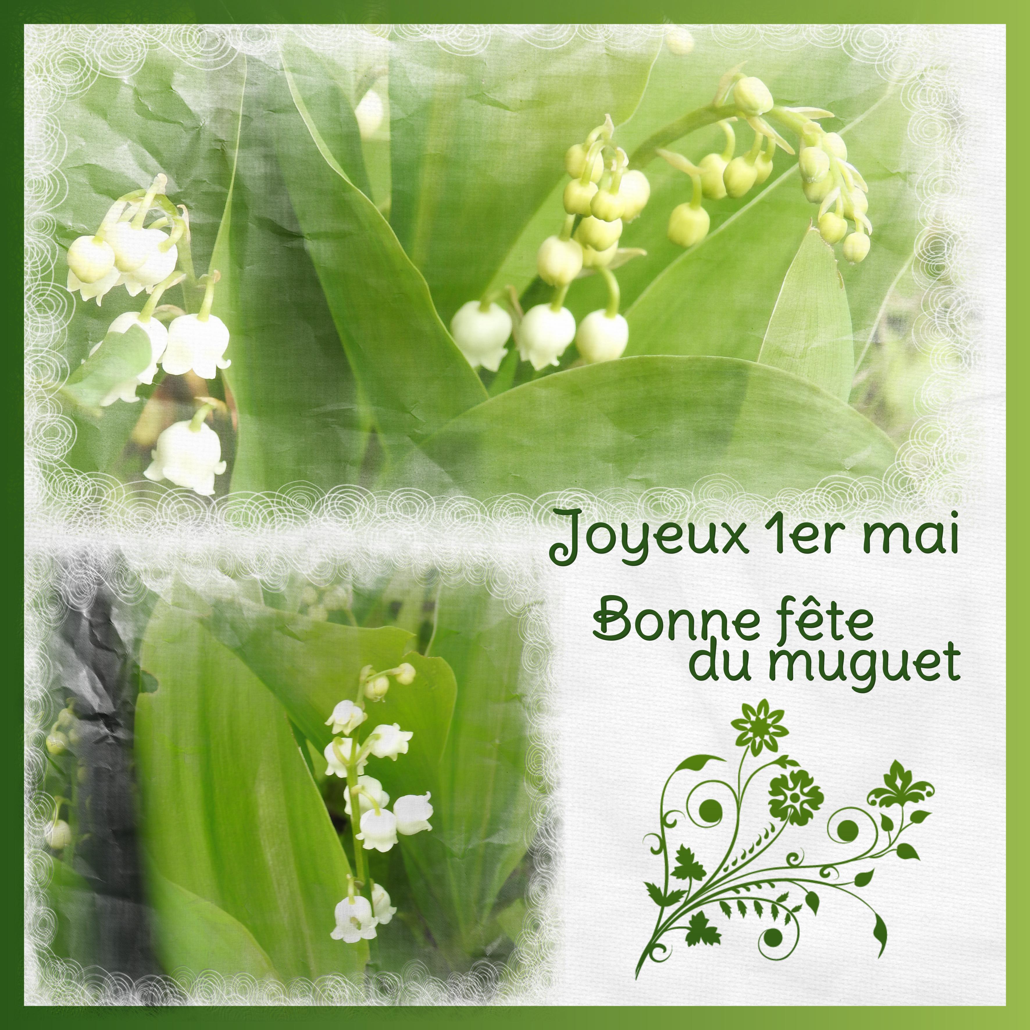 J-e75 - BONNE FETE.jpg