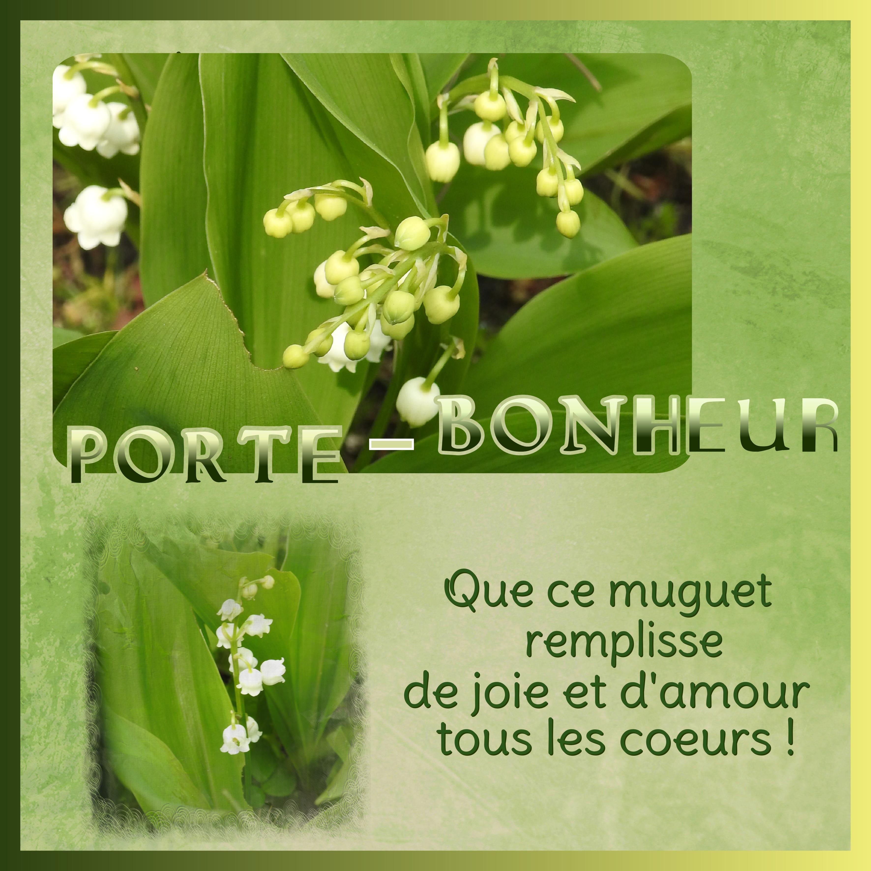 J-e77 - PORTE-BONHEUR.jpg