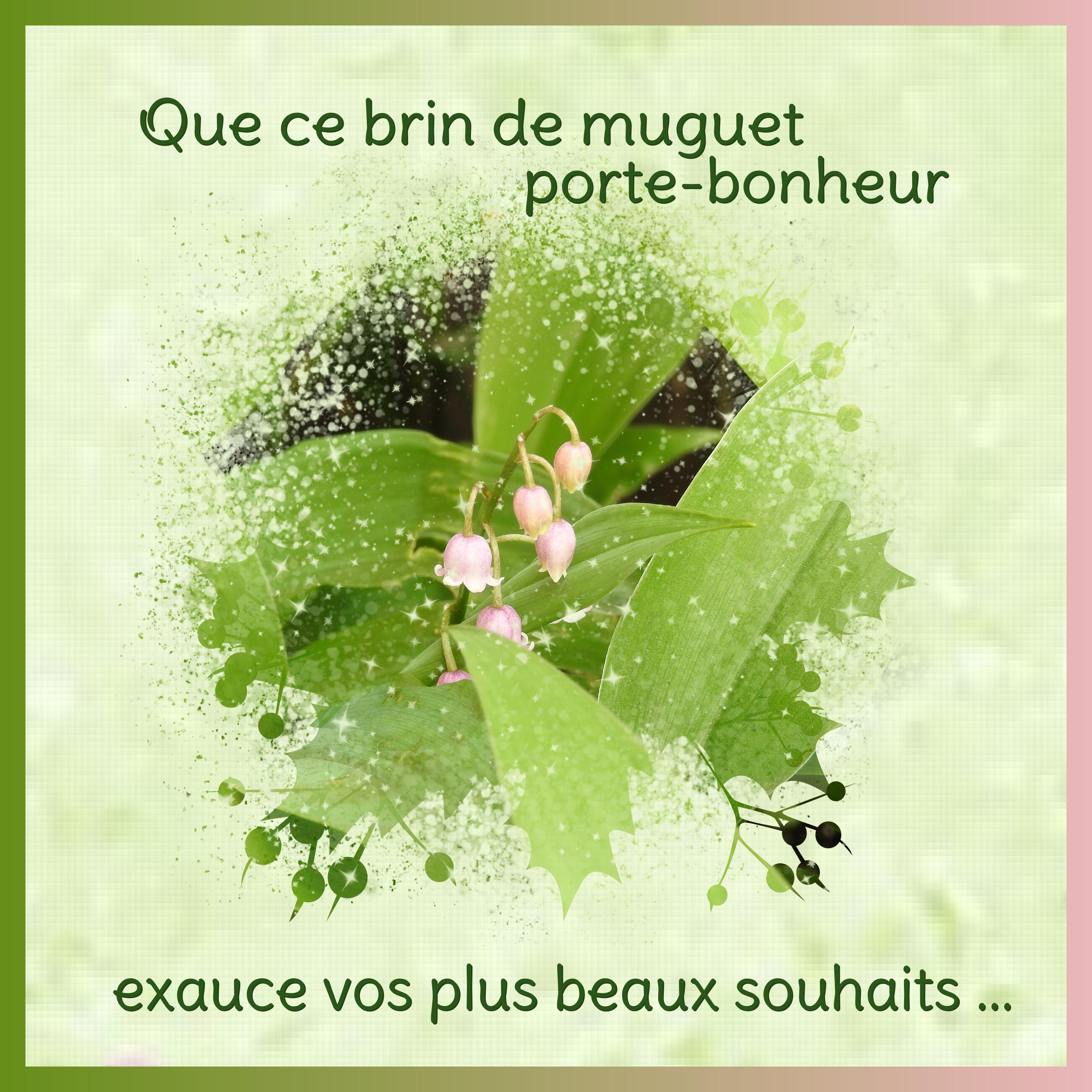 J-e78 - QUE CE BRIN DE MUGUET.jpg