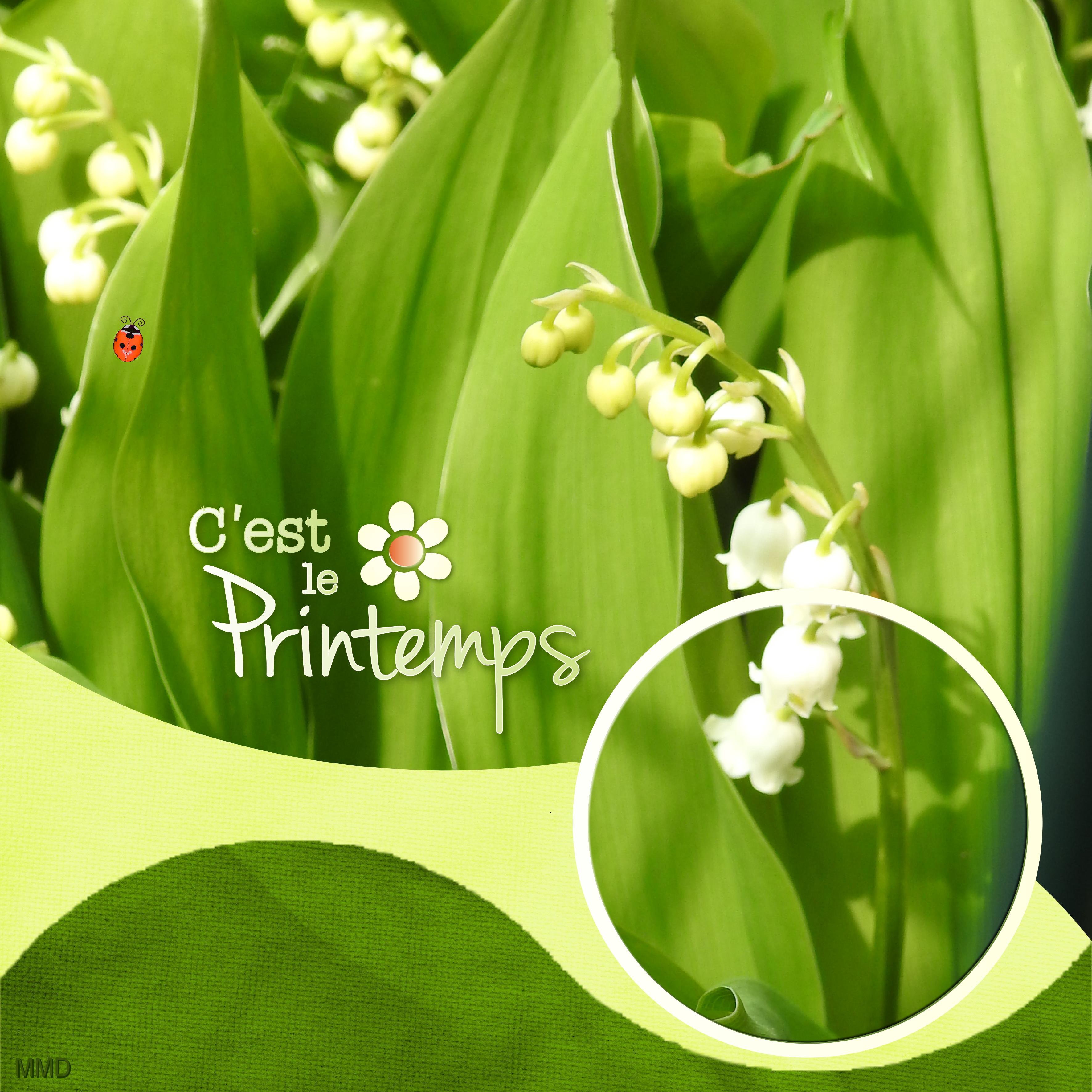 J-e81 - C'EST LE PRINTEMPS.jpg